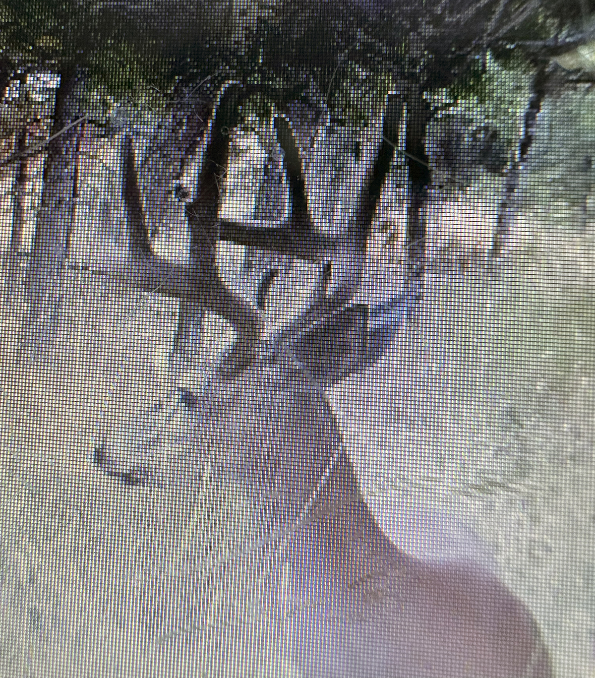 Mile High Ranch property picture 12 of 83