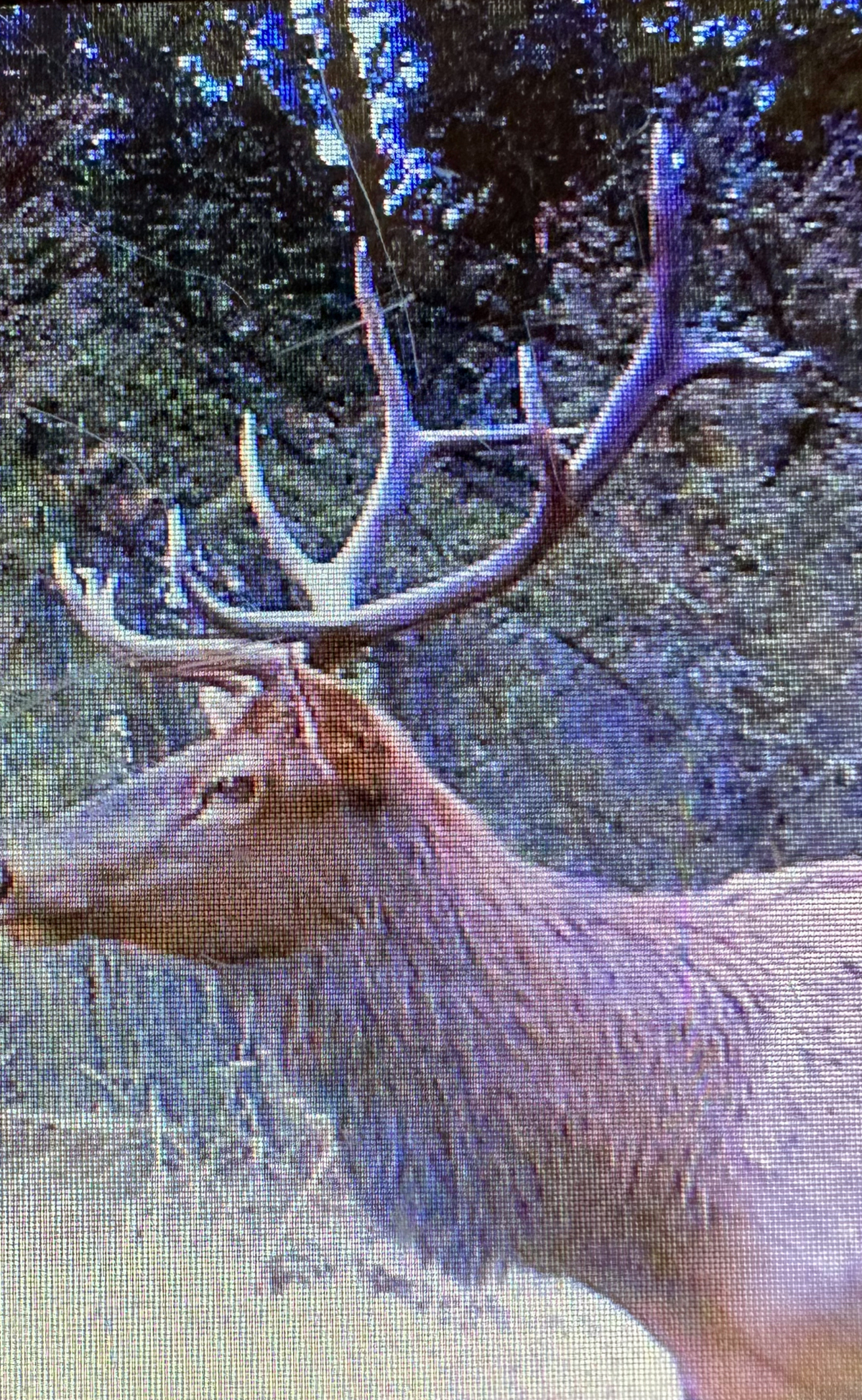 Mile High Ranch property picture 16 of 83