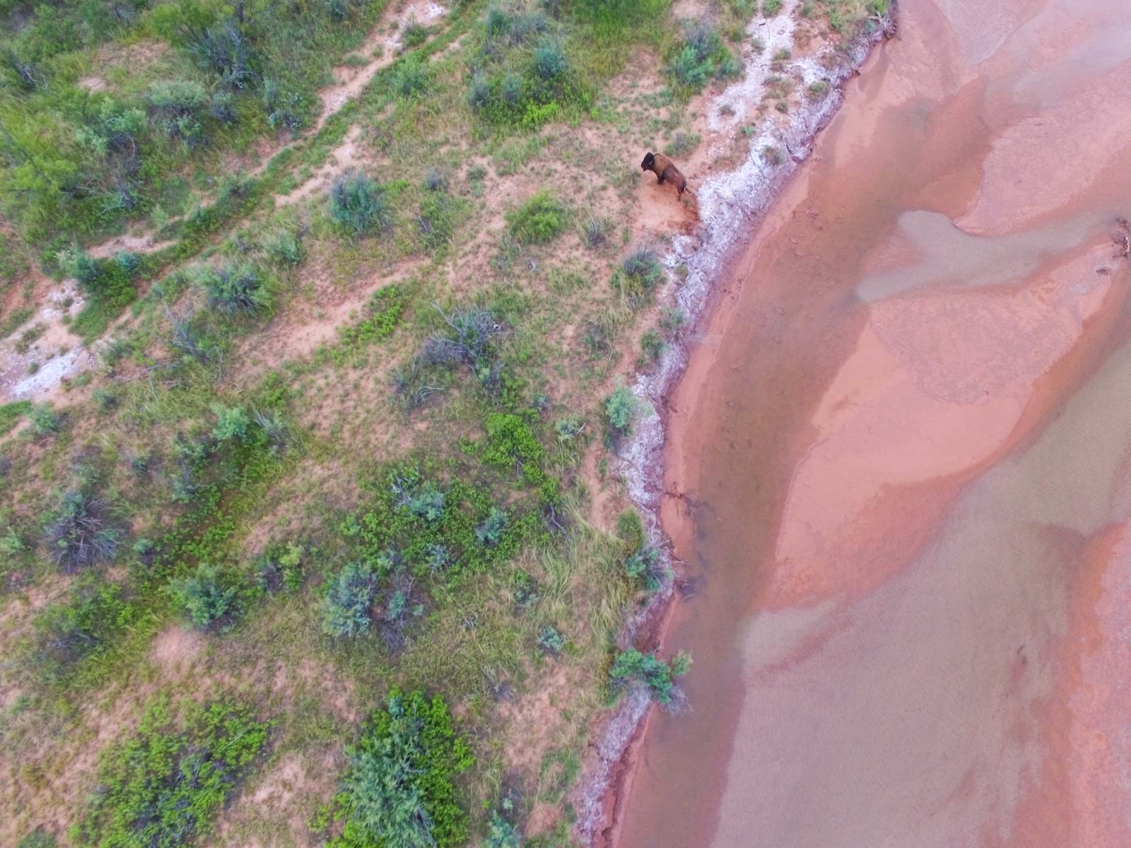 3B Game Ranch property picture 11 of 59