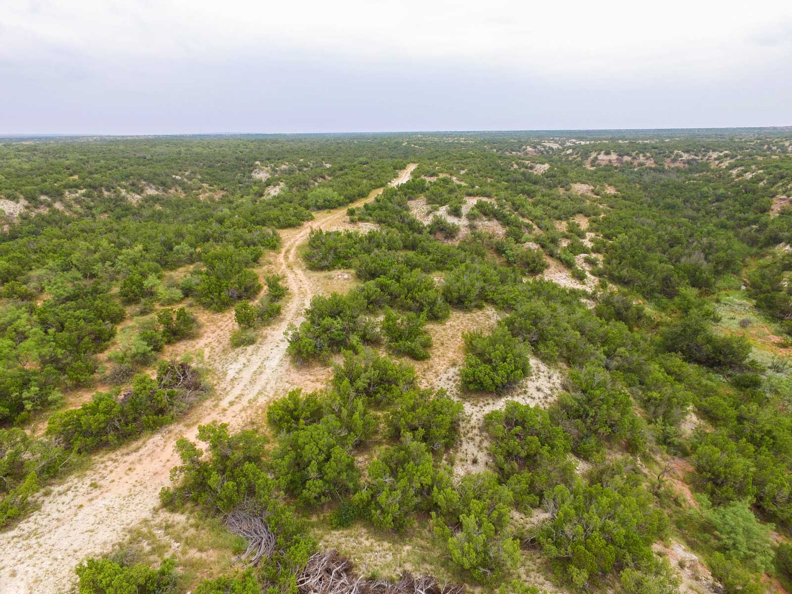 3B Game Ranch property picture 58 of 59