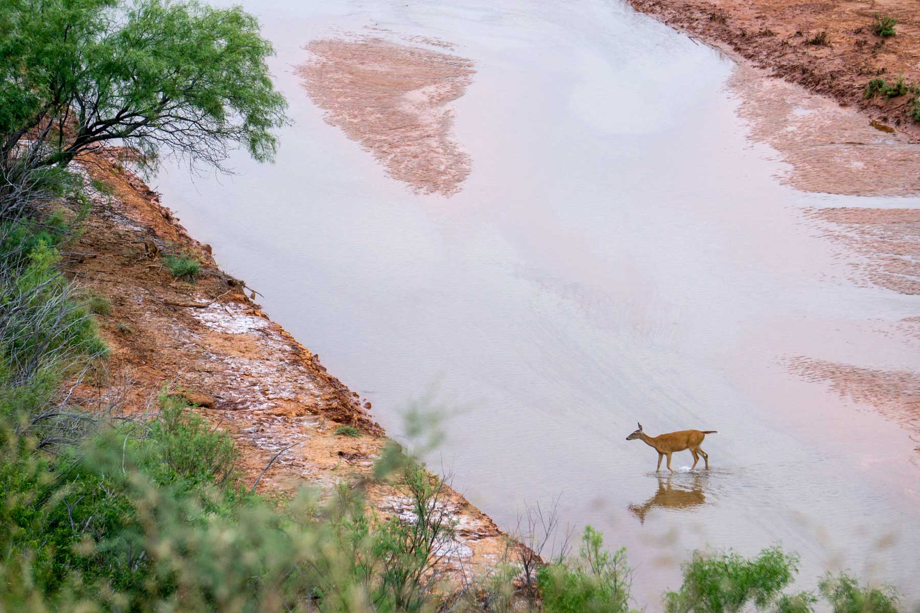 3B Game Ranch property picture 37 of 59