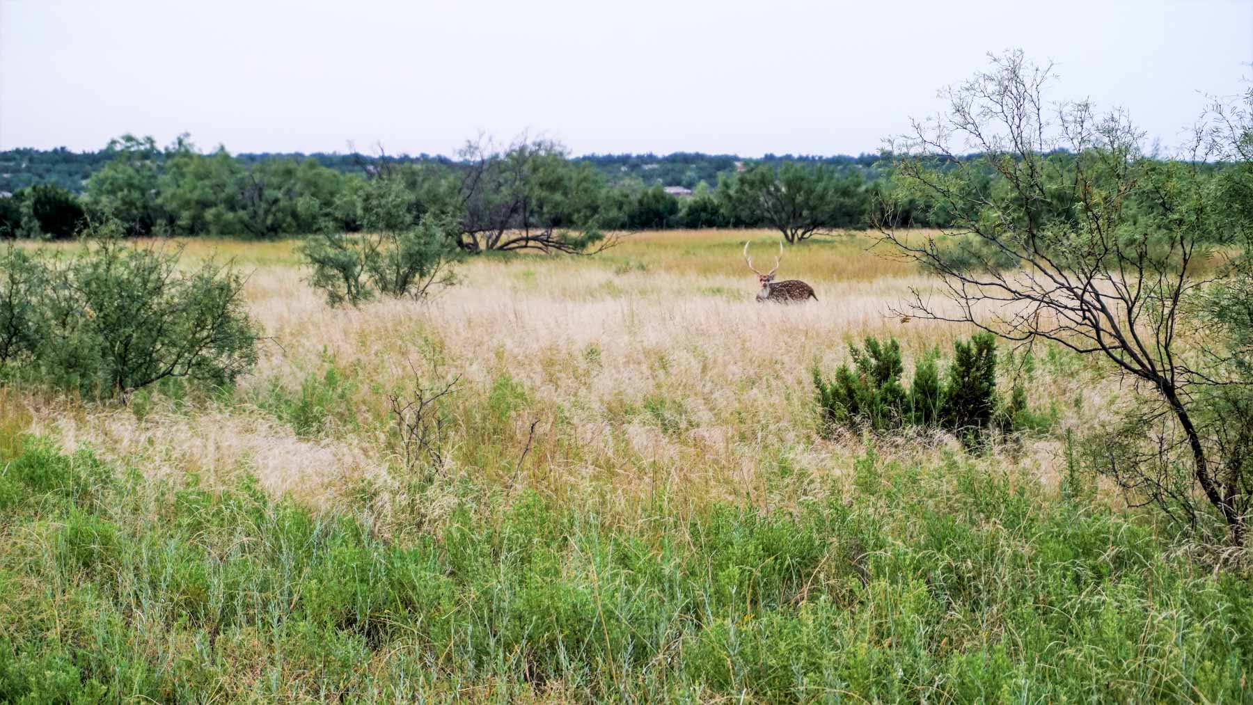 3B Game Ranch property picture 50 of 59