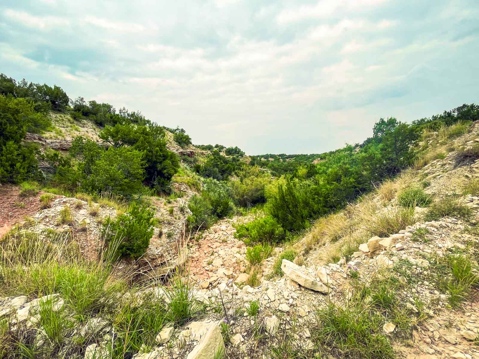 3B Game Ranch property picture 40 of 59