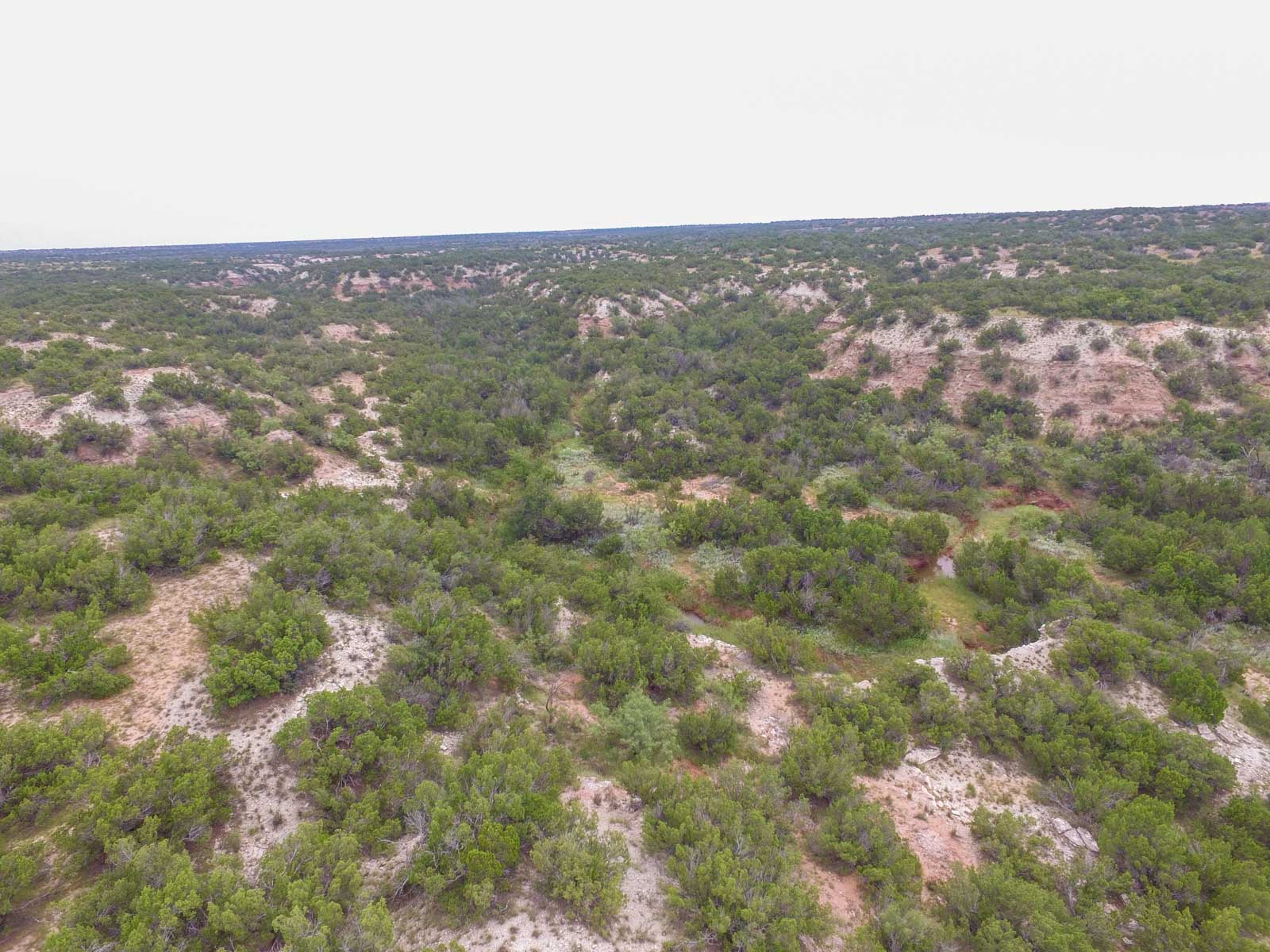 3B Game Ranch property picture 57 of 59