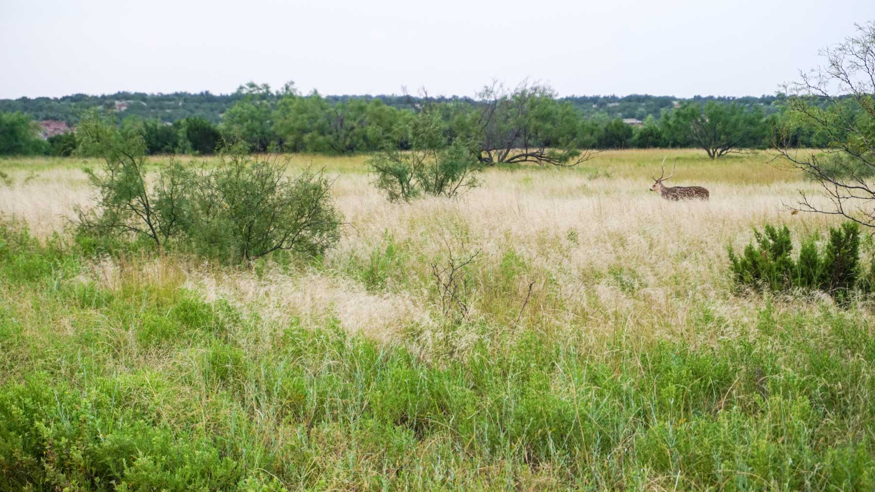 3B Game Ranch property picture 28 of 59