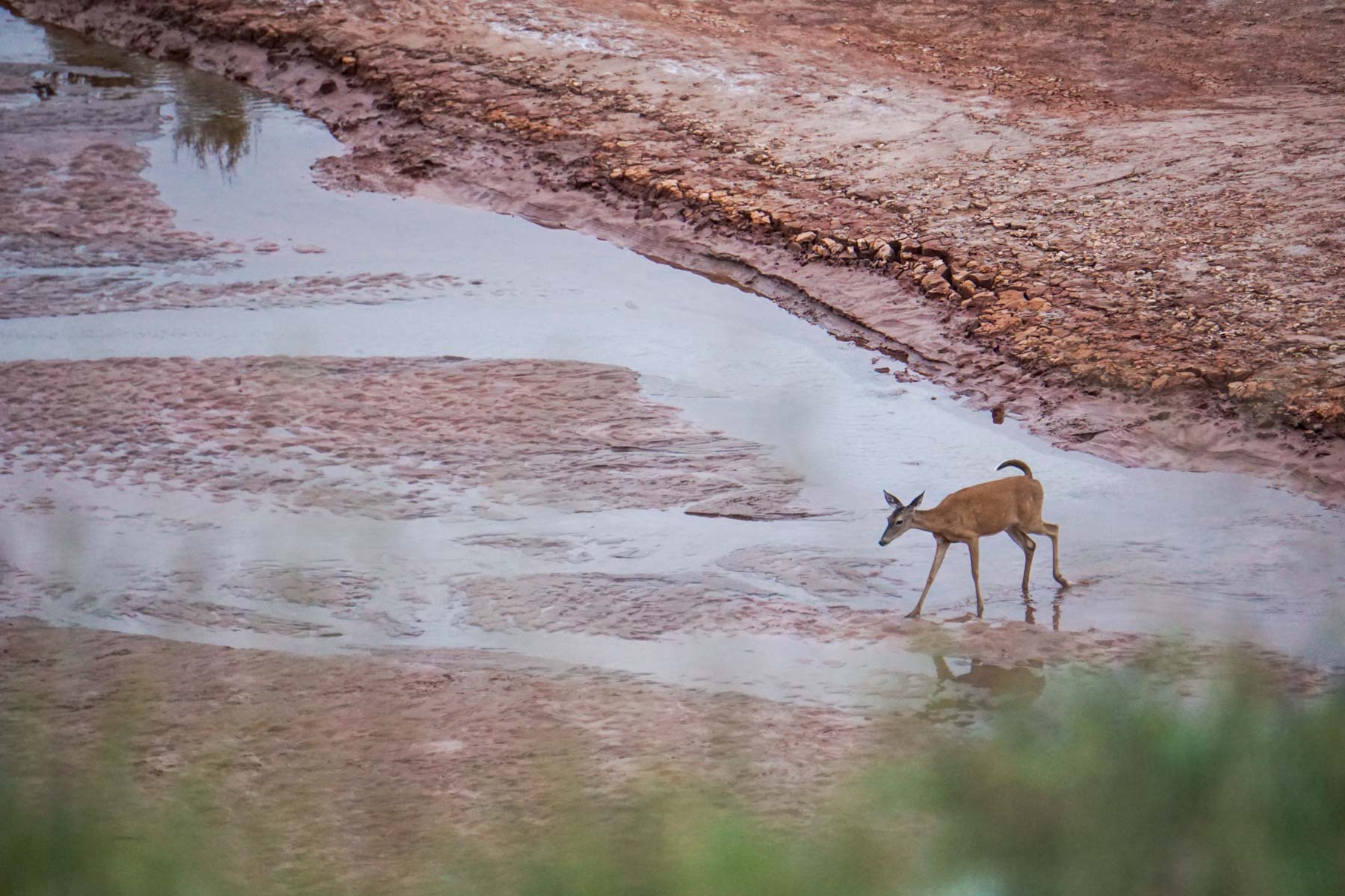 3B Game Ranch property picture 35 of 59
