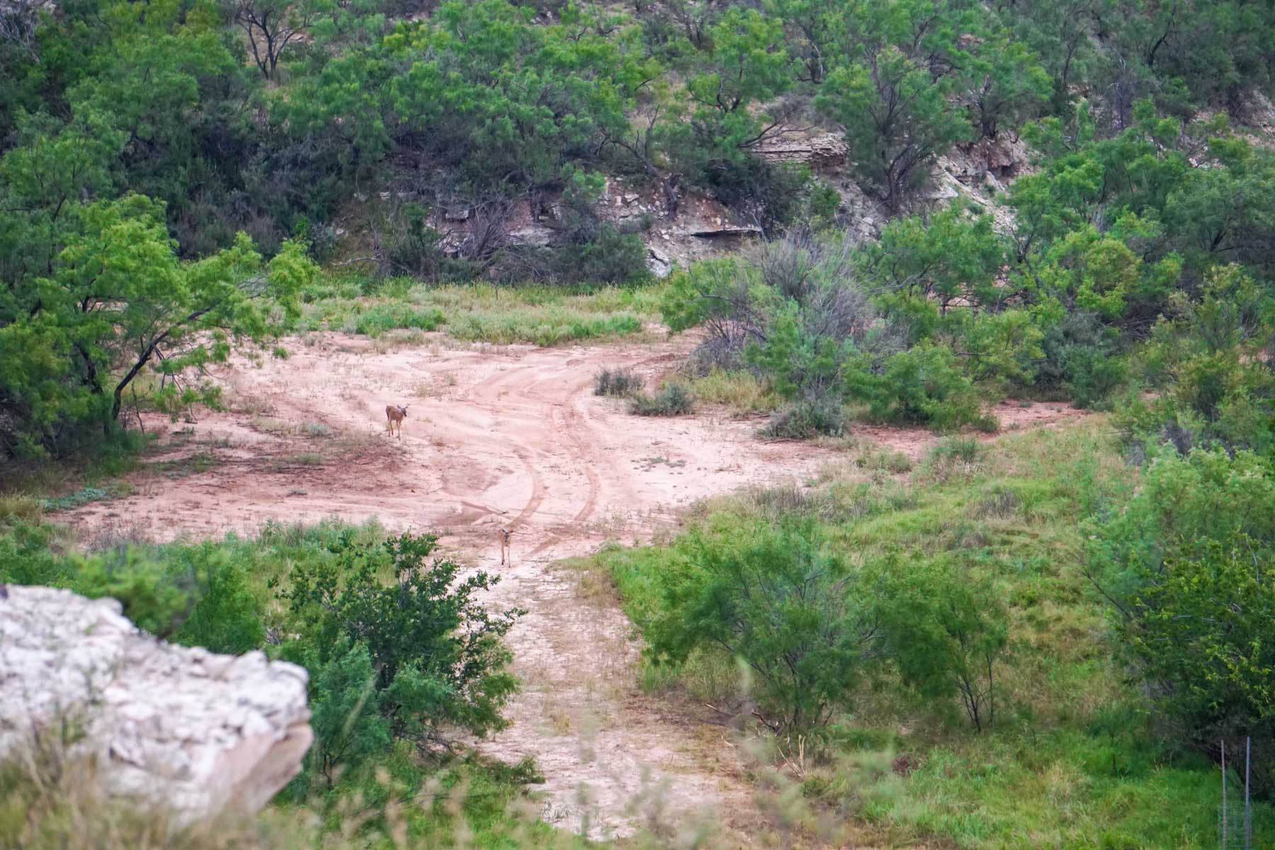 3B Game Ranch property picture 33 of 59