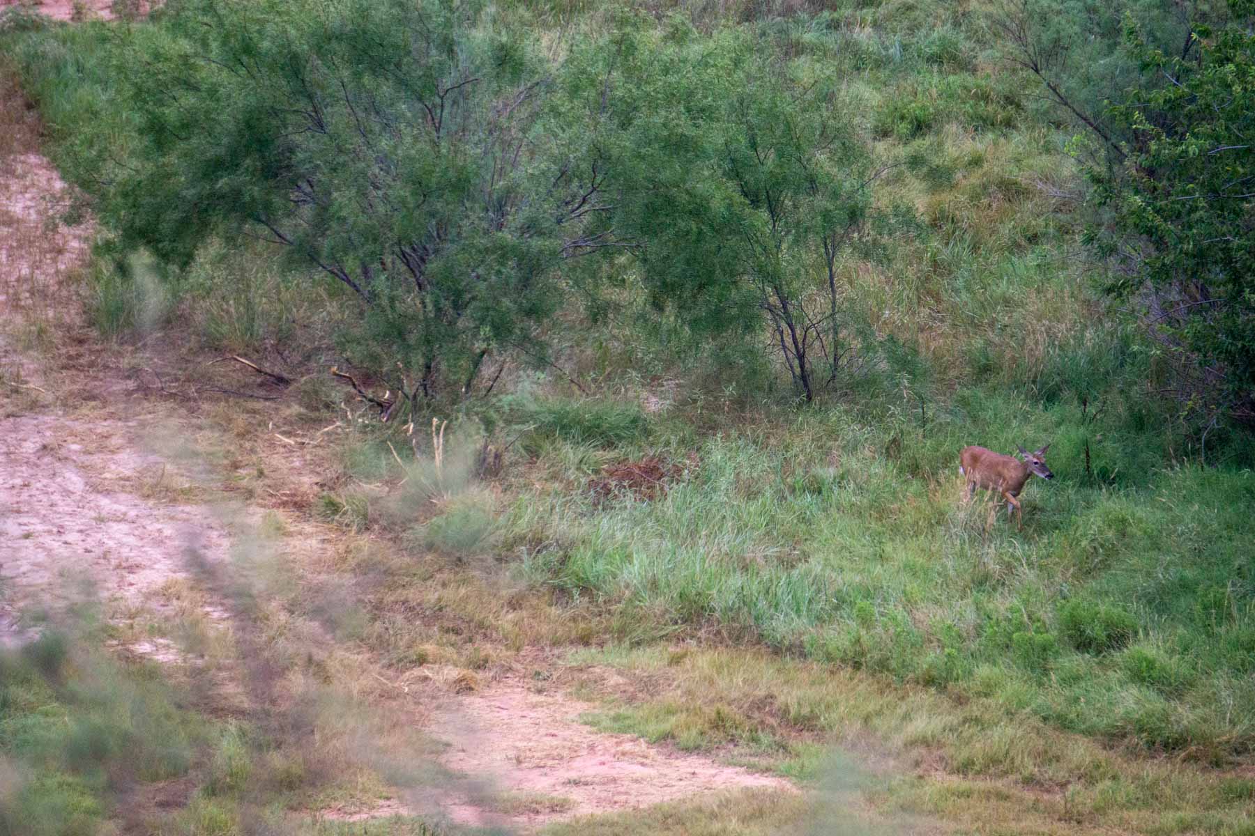 3B Game Ranch property picture 34 of 59