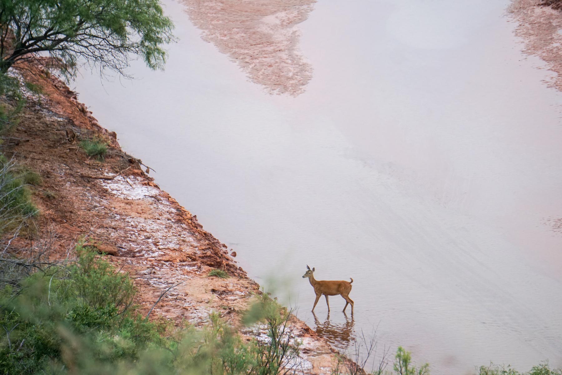 3B Game Ranch property picture 38 of 59