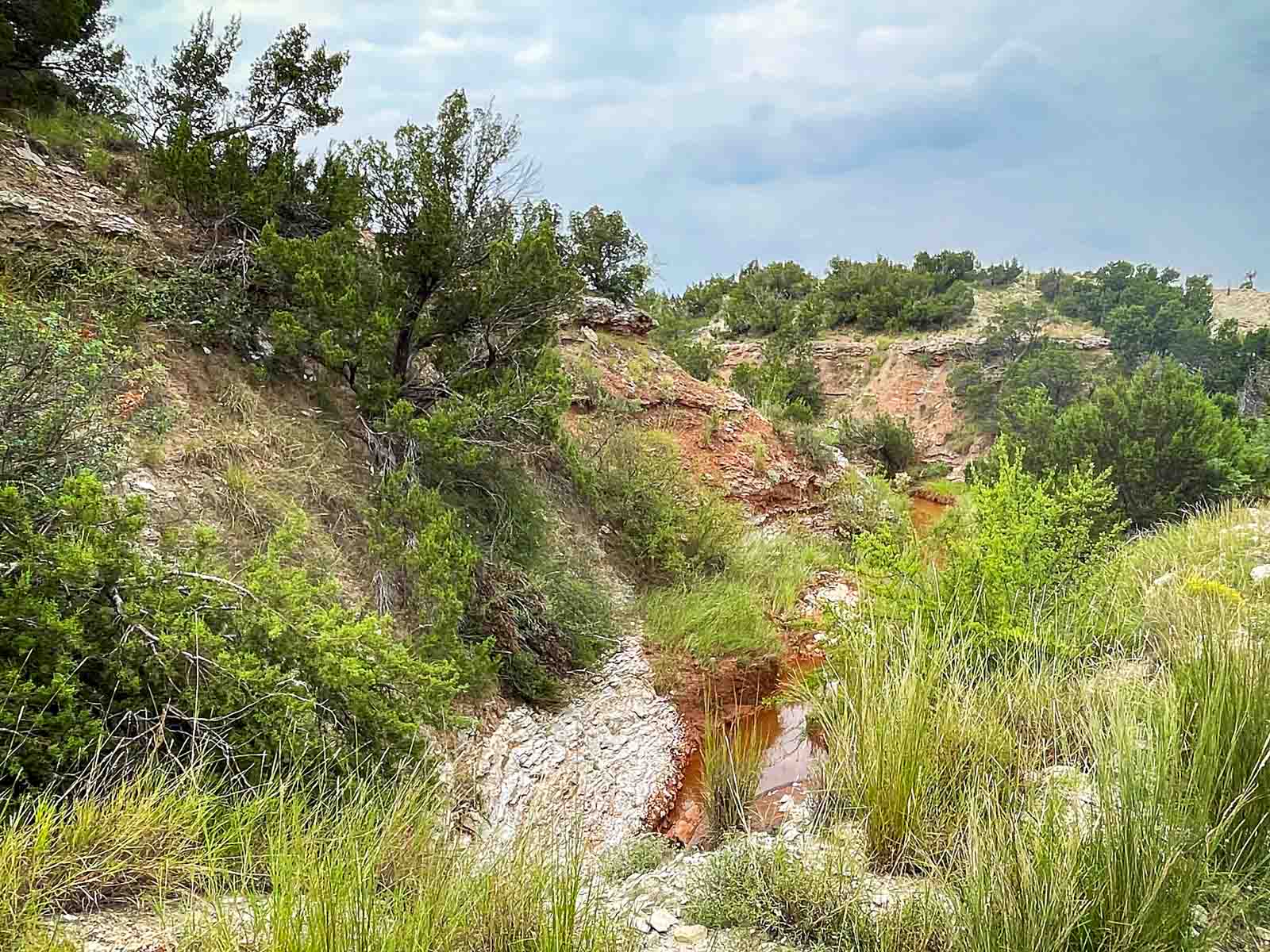 3B Game Ranch property picture 41 of 59