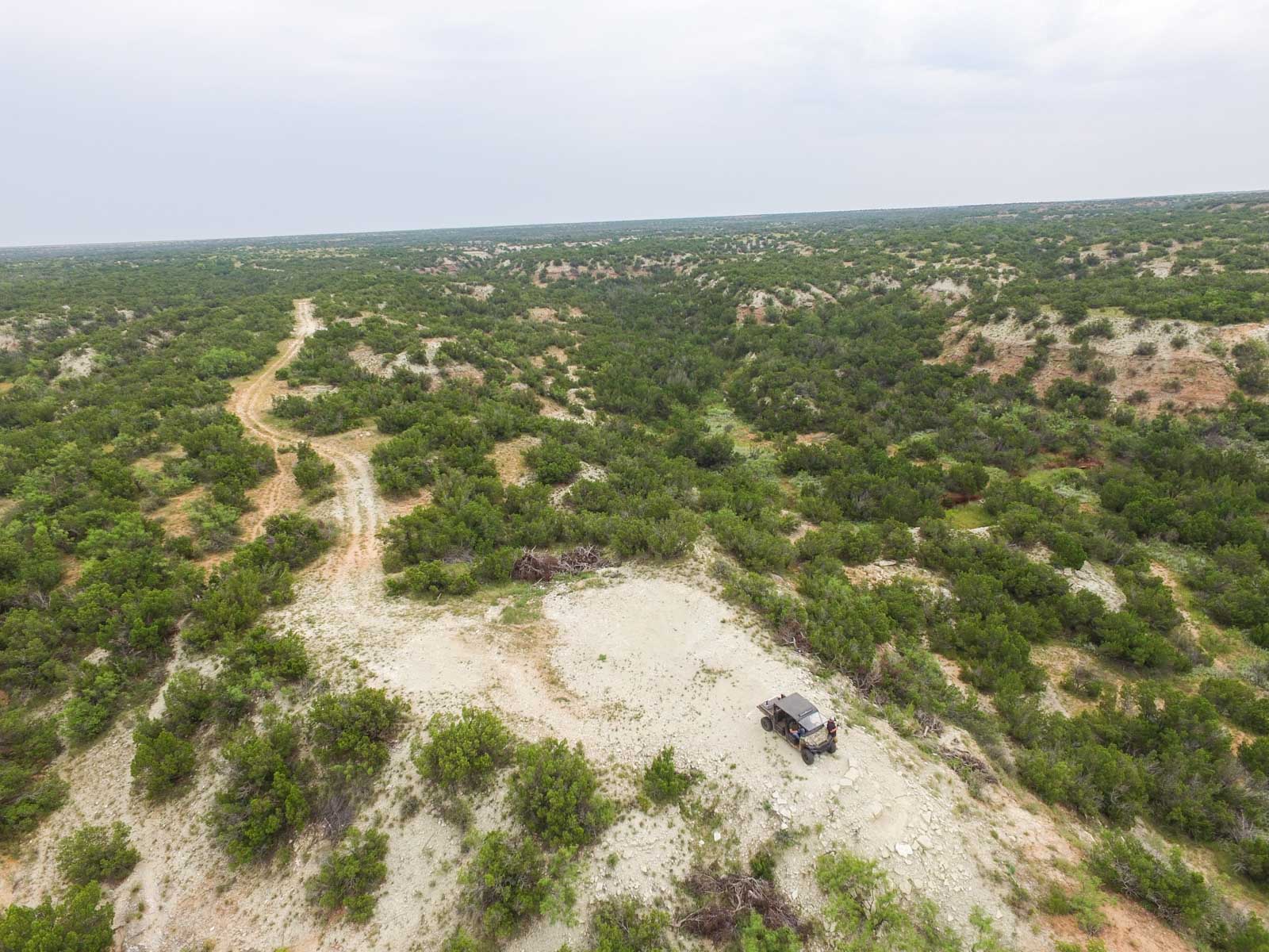 3B Game Ranch - Sold - Texas - Hall and Hall