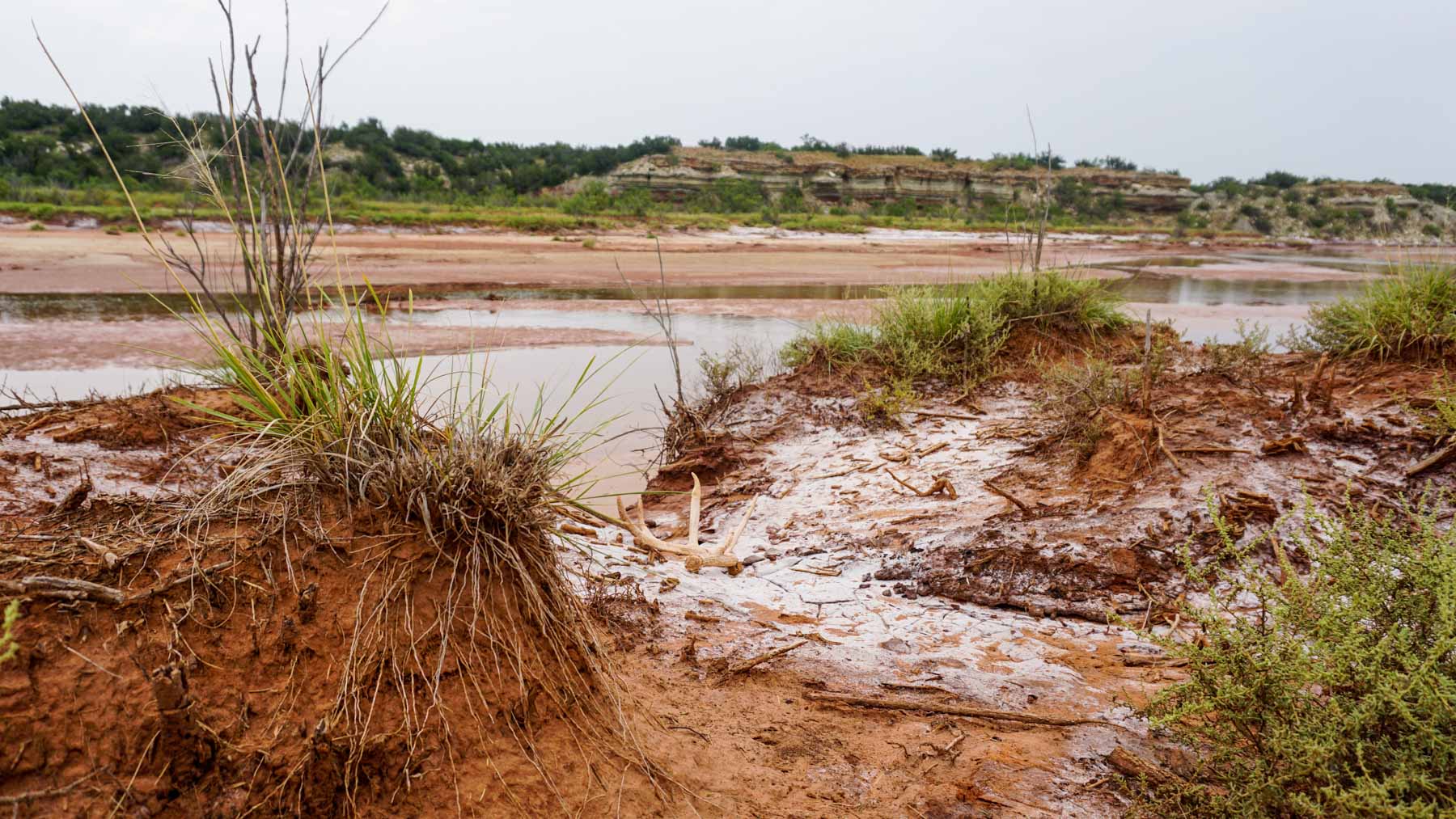 3B Game Ranch property picture 39 of 59