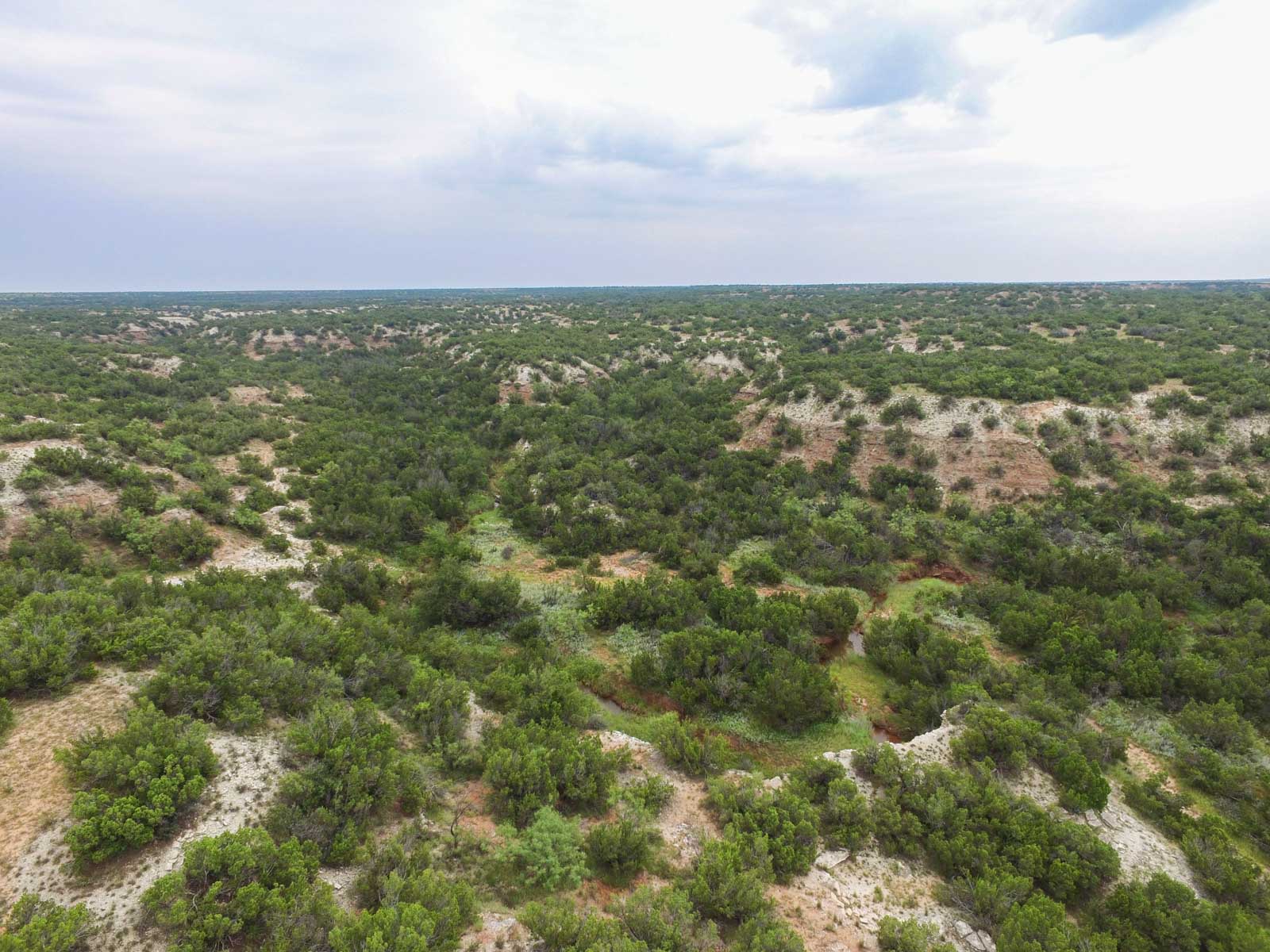 3B Game Ranch property picture 56 of 59