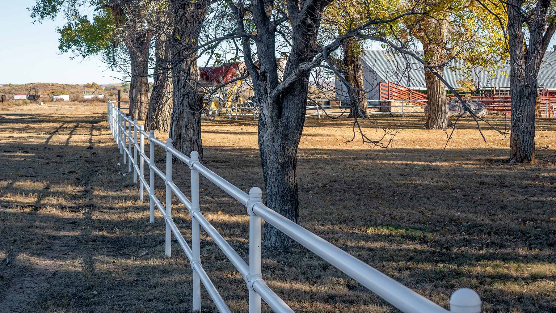 Burson Rita Blanca Creek Ranch property picture 28 of 49