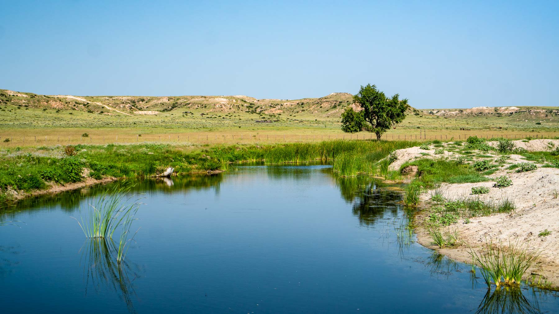 Burson Rita Blanca Creek Ranch property picture 9 of 49