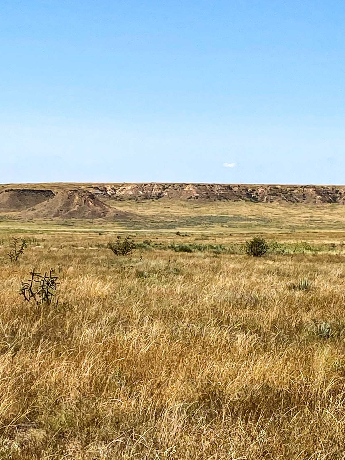 Burson Rita Blanca Creek Ranch property picture 34 of 49