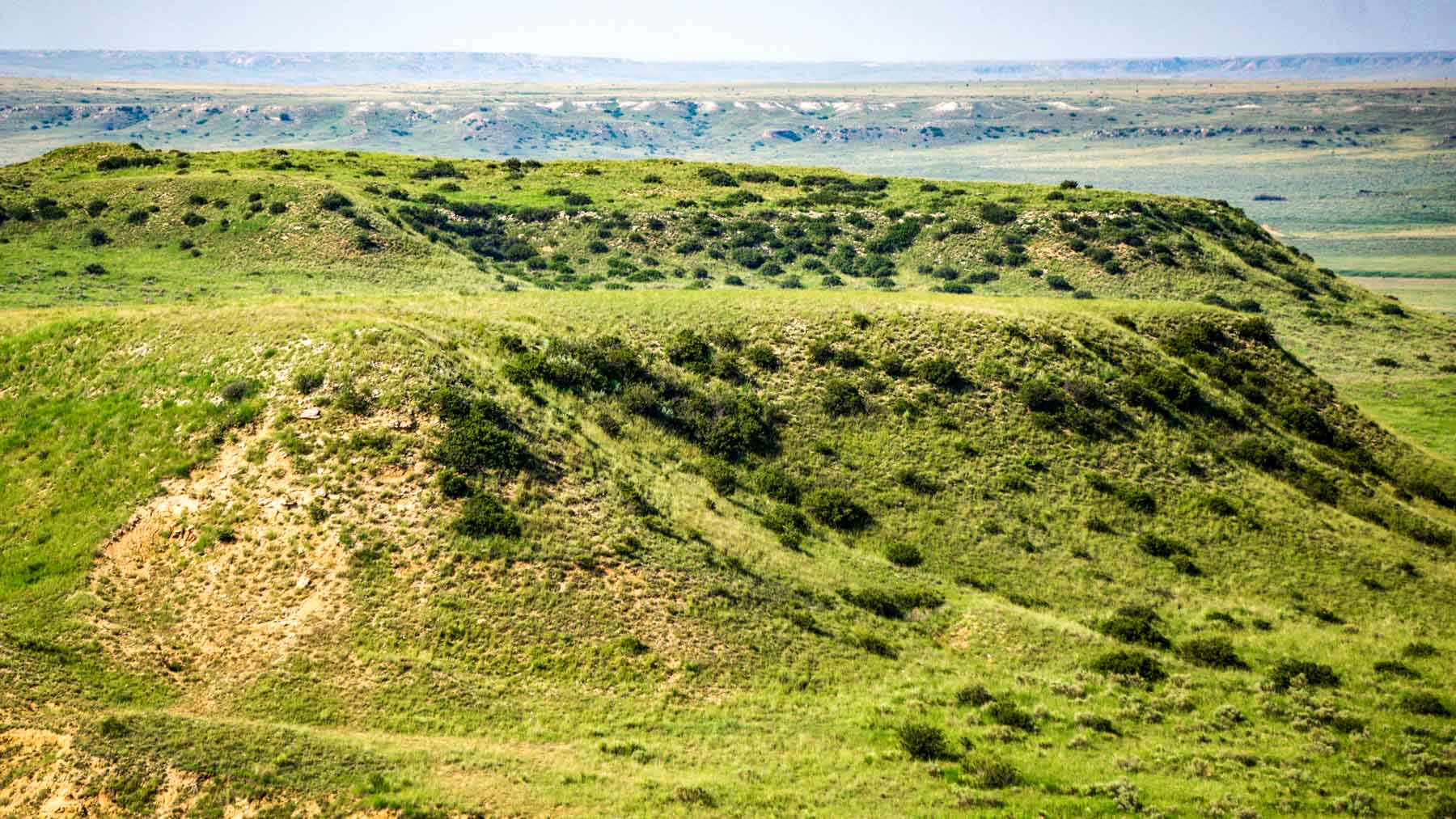 Burson Rita Blanca Creek Ranch property picture 45 of 49