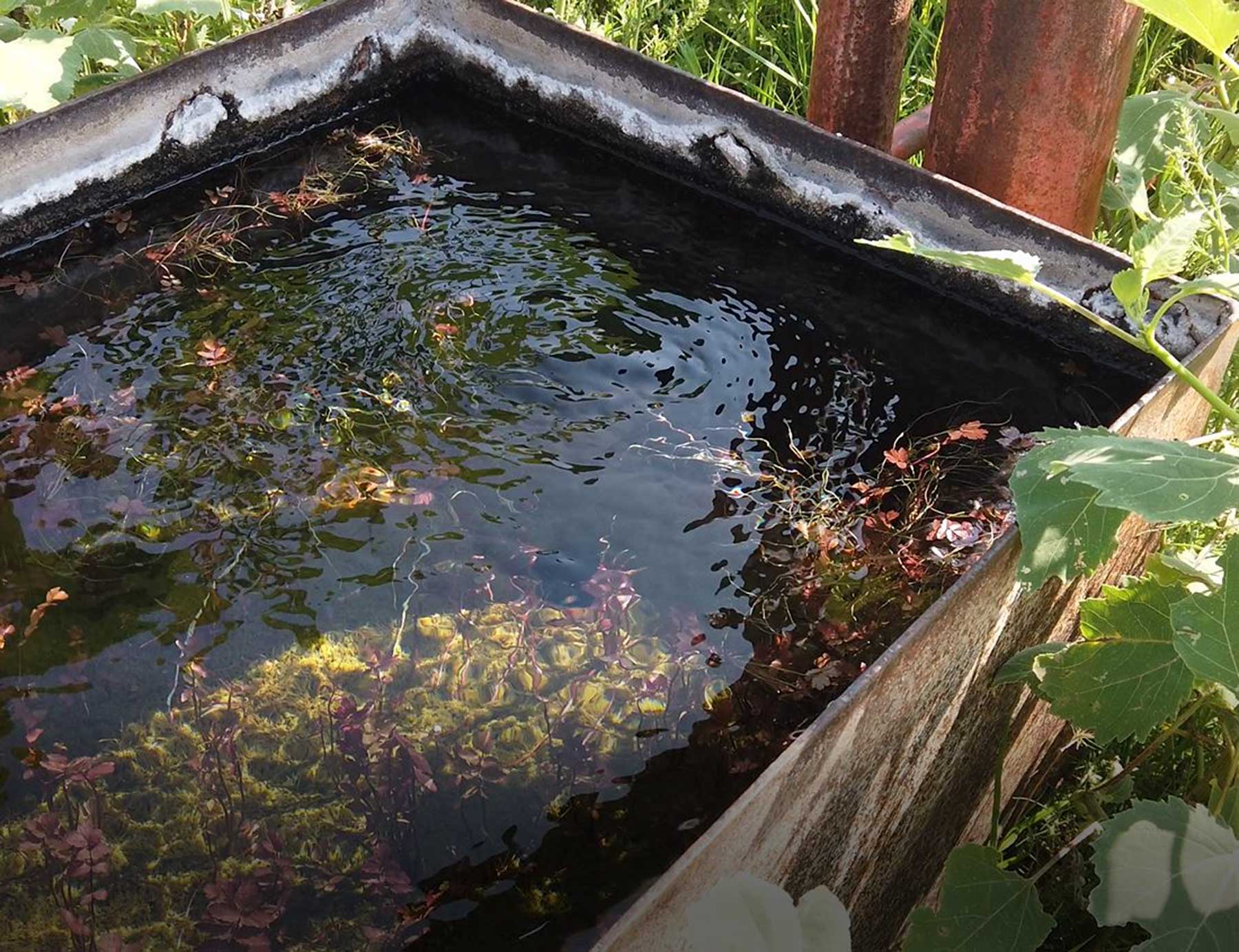 Burson Rita Blanca Creek Ranch property picture 48 of 49