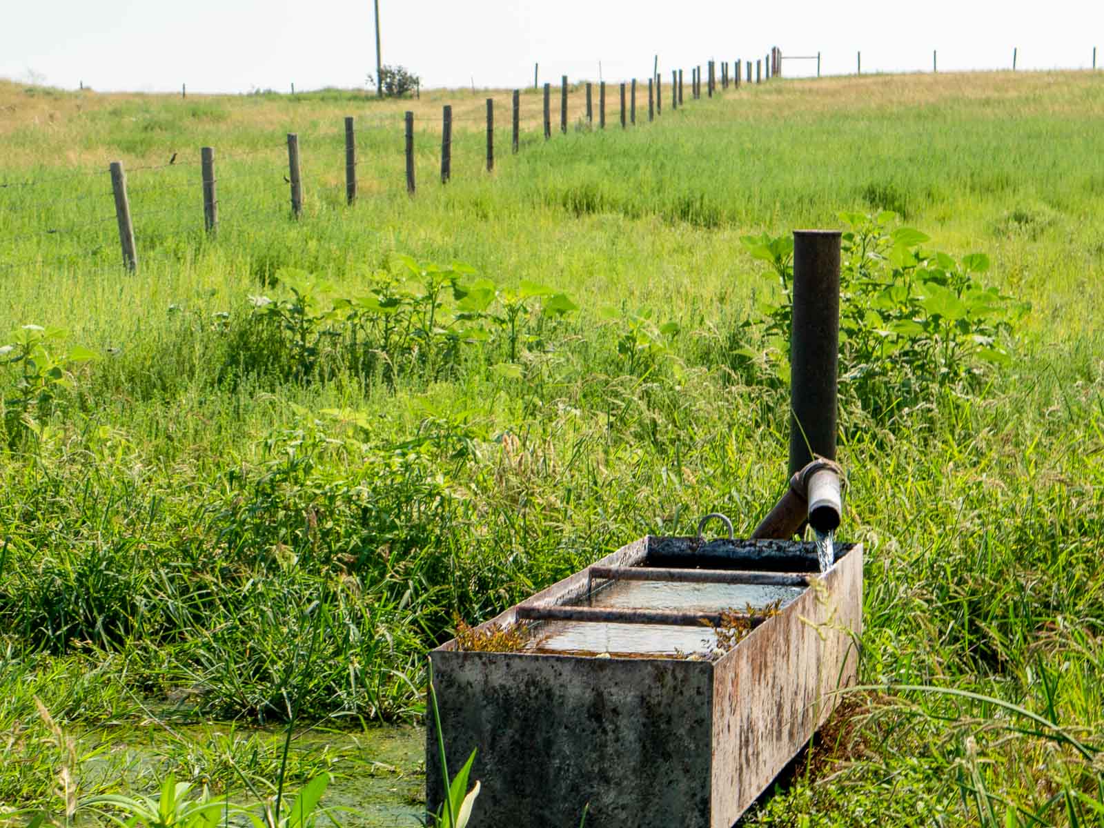 Burson Rita Blanca Creek Ranch property picture 11 of 49