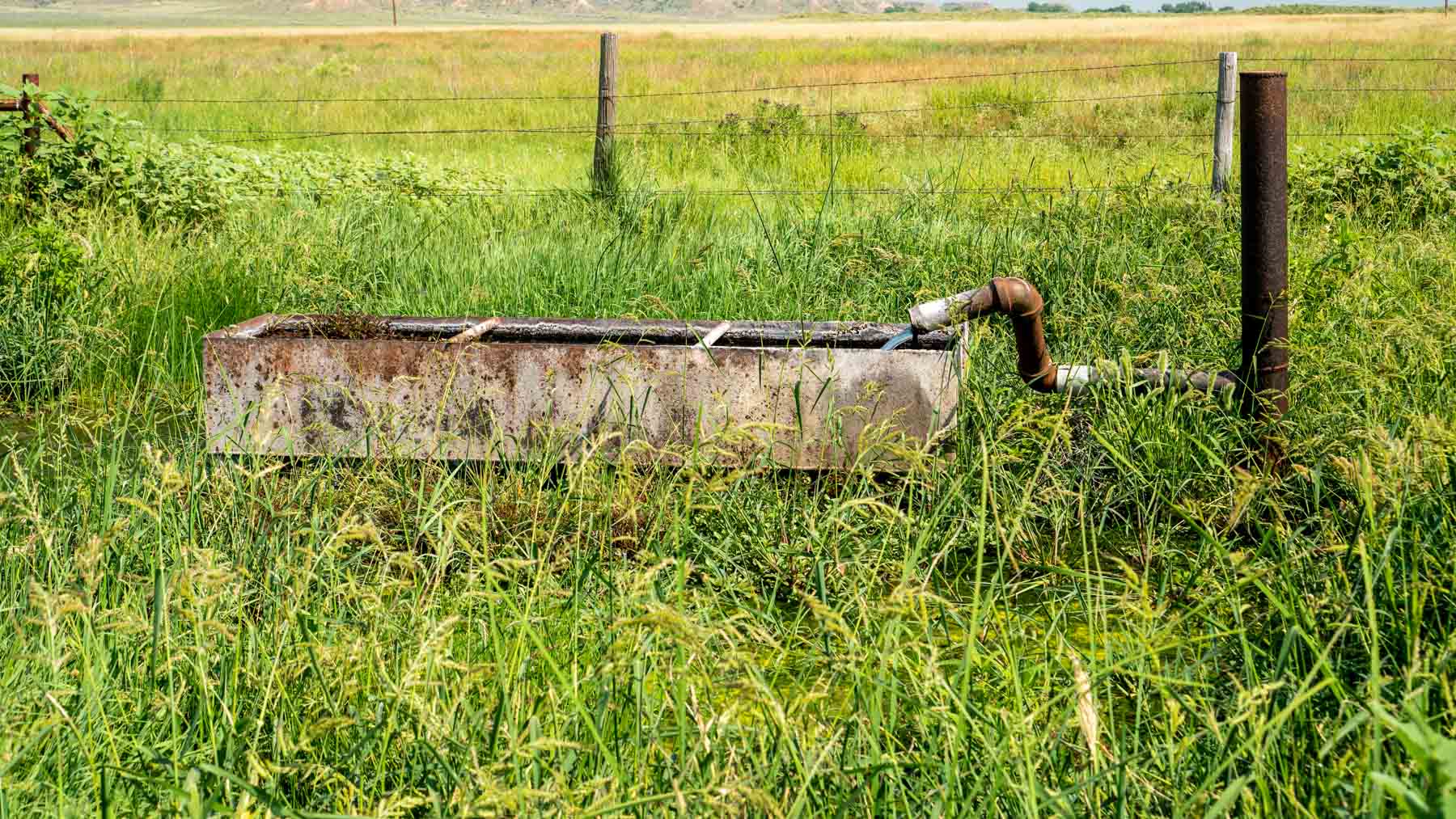 Burson Rita Blanca Creek Ranch property picture 10 of 49