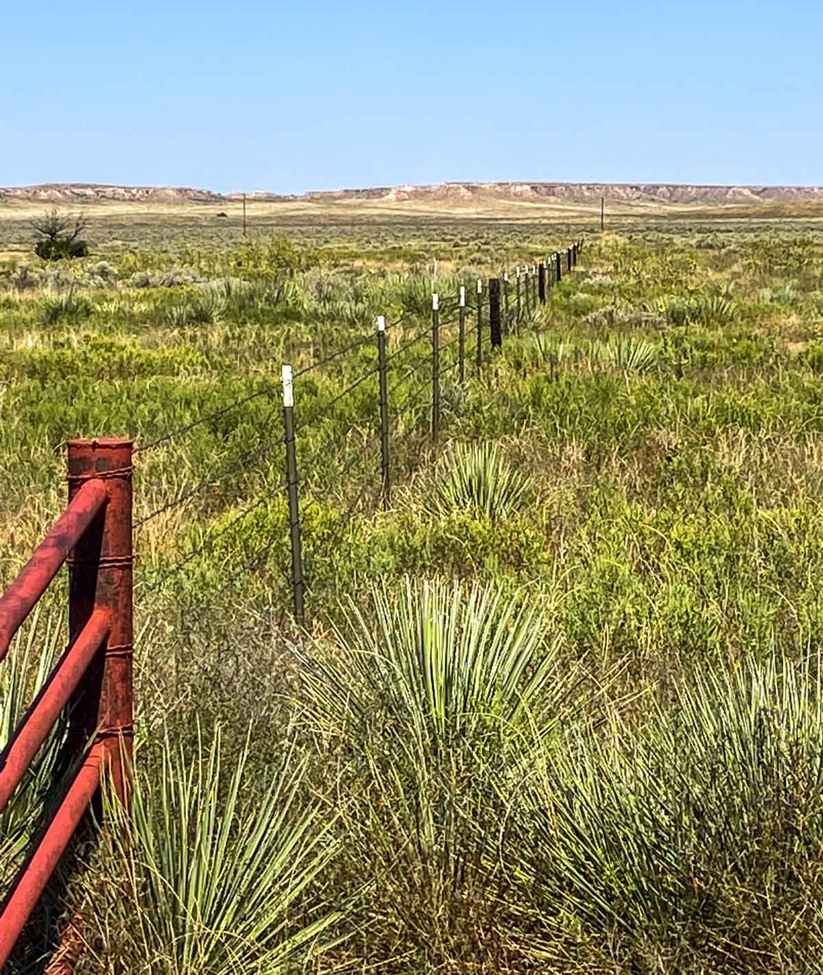 Burson Rita Blanca Creek Ranch property picture 21 of 49