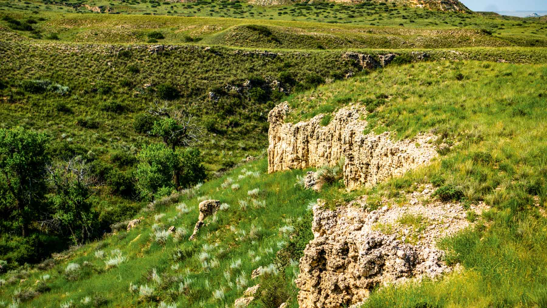 Burson Rita Blanca Creek Ranch property picture 8 of 49