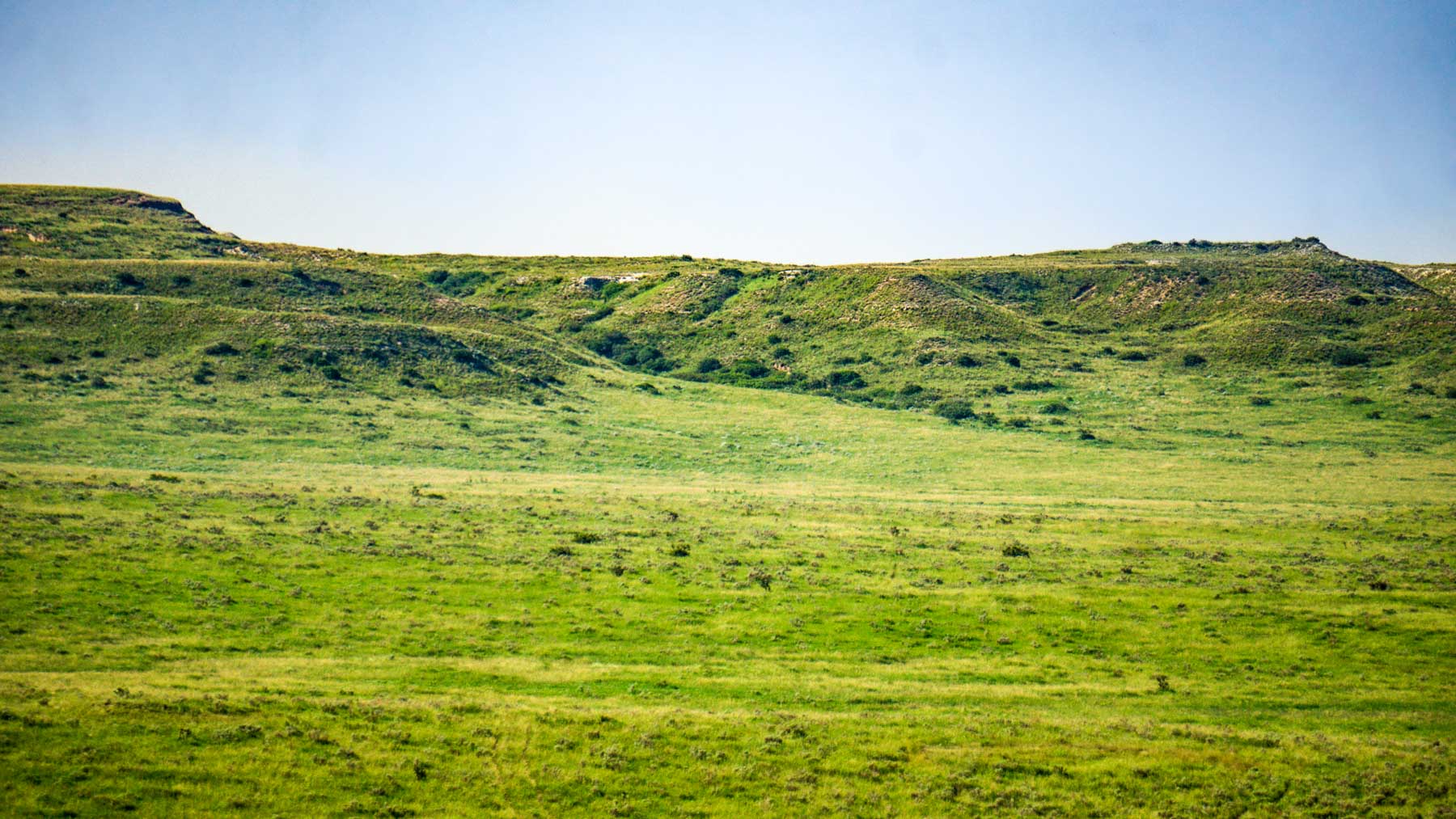 Burson Rita Blanca Creek Ranch property picture 43 of 49