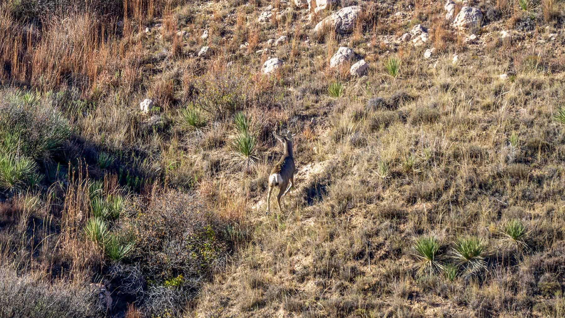 Burson Rita Blanca Creek Ranch property picture 36 of 49