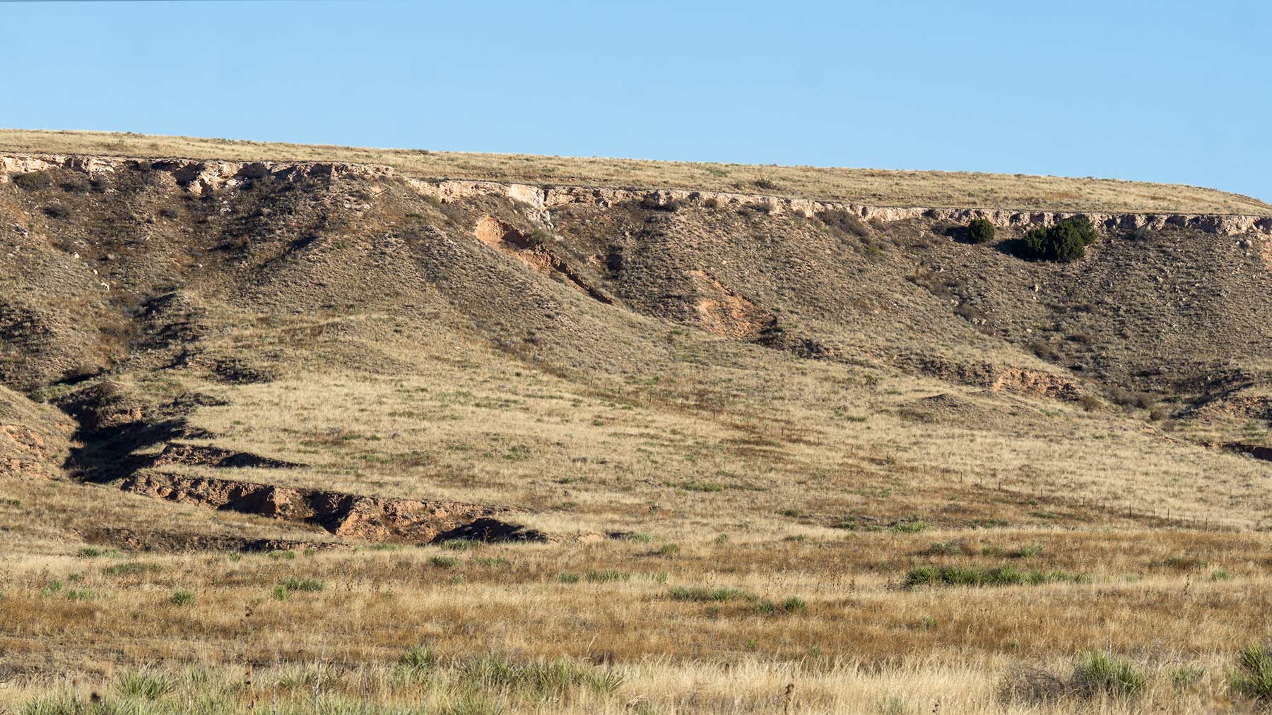 Burson Rita Blanca Creek Ranch property picture 35 of 49