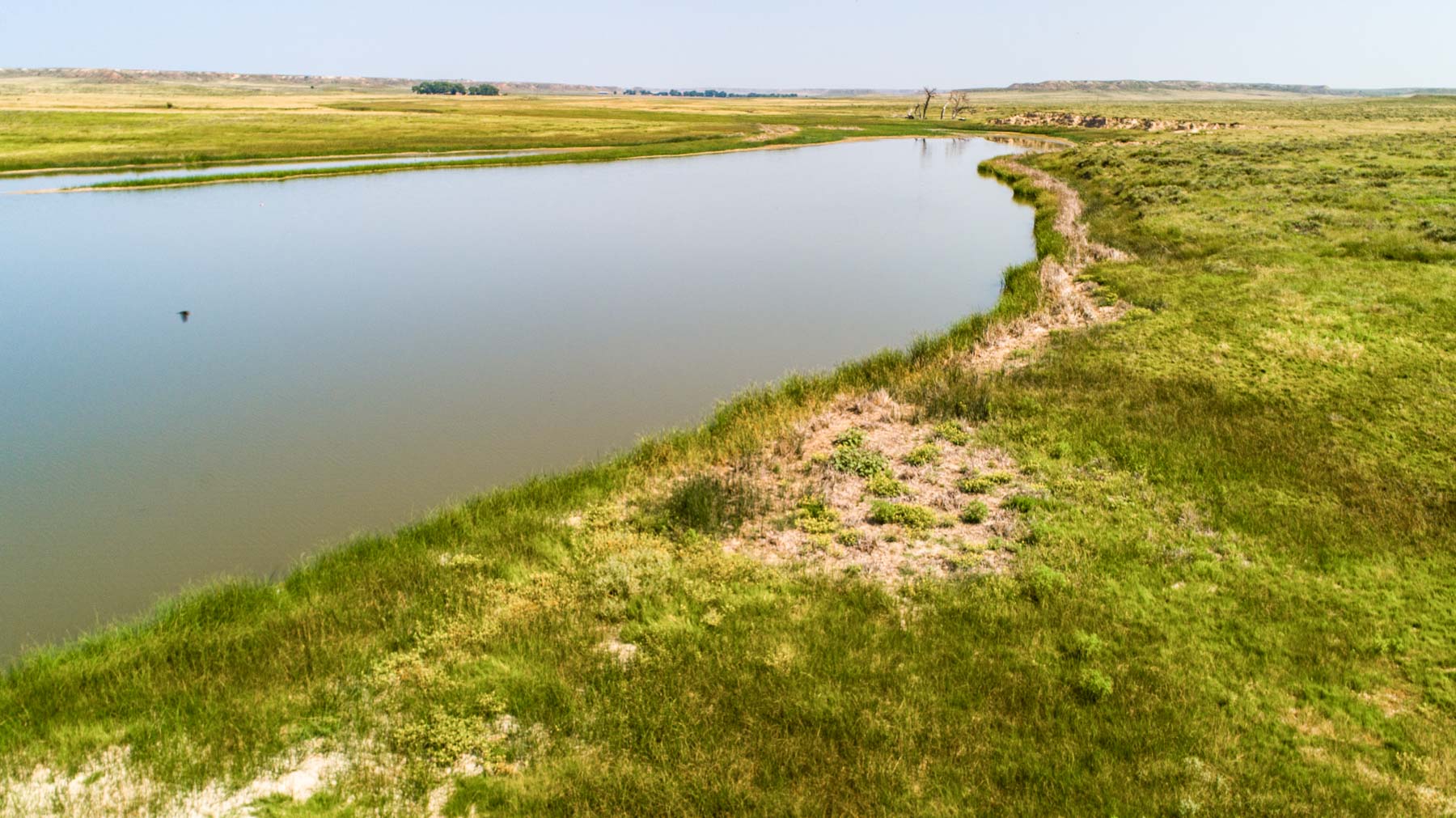 Burson Rita Blanca Creek Ranch property picture 31 of 49