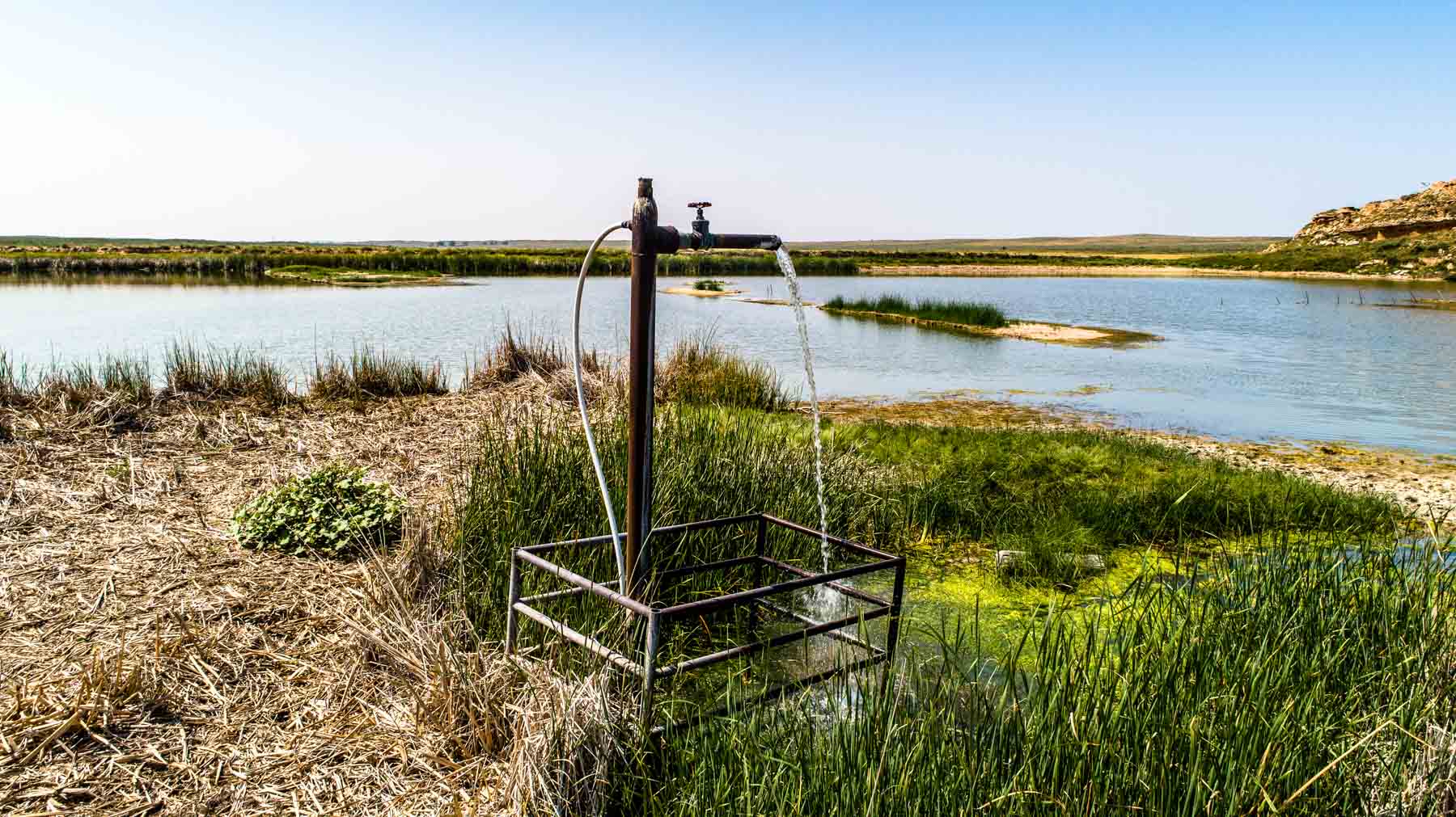 Burson Rita Blanca Creek Ranch property picture 17 of 49