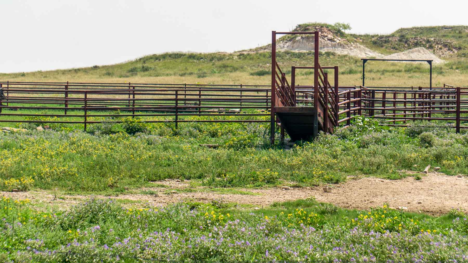 Burson Rita Blanca Creek Ranch property picture 18 of 49