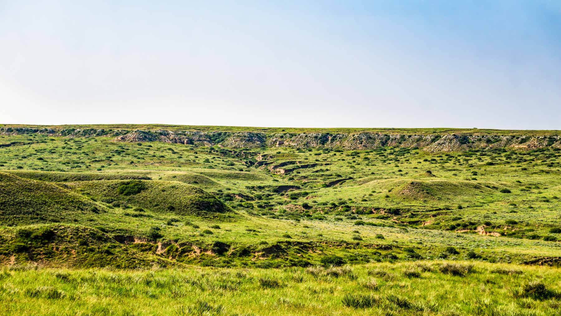 Burson Rita Blanca Creek Ranch property picture 46 of 49