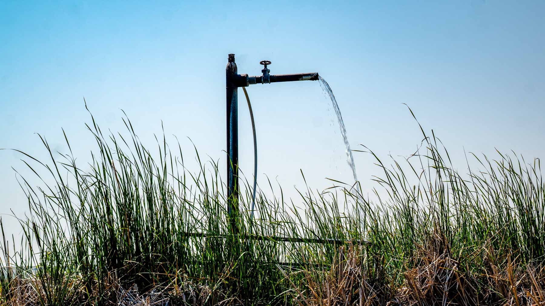 Burson Rita Blanca Creek Ranch property picture 12 of 49