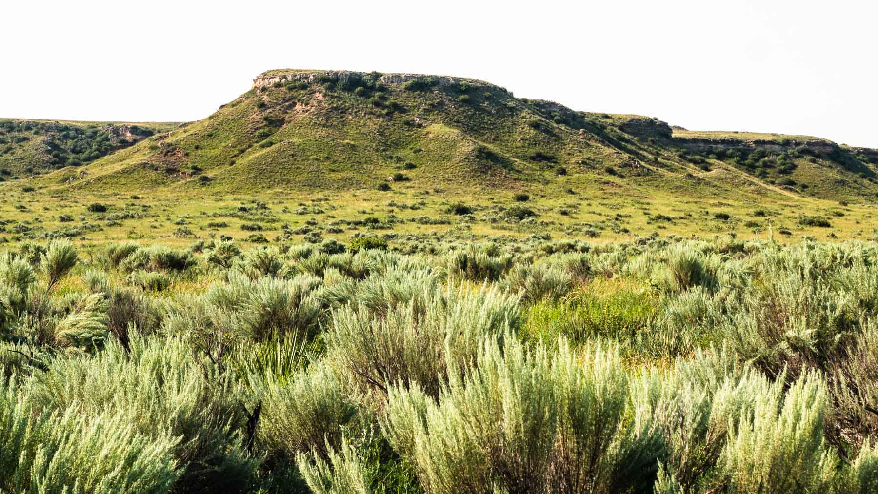 Burson Rita Blanca Creek Ranch property picture 4 of 49