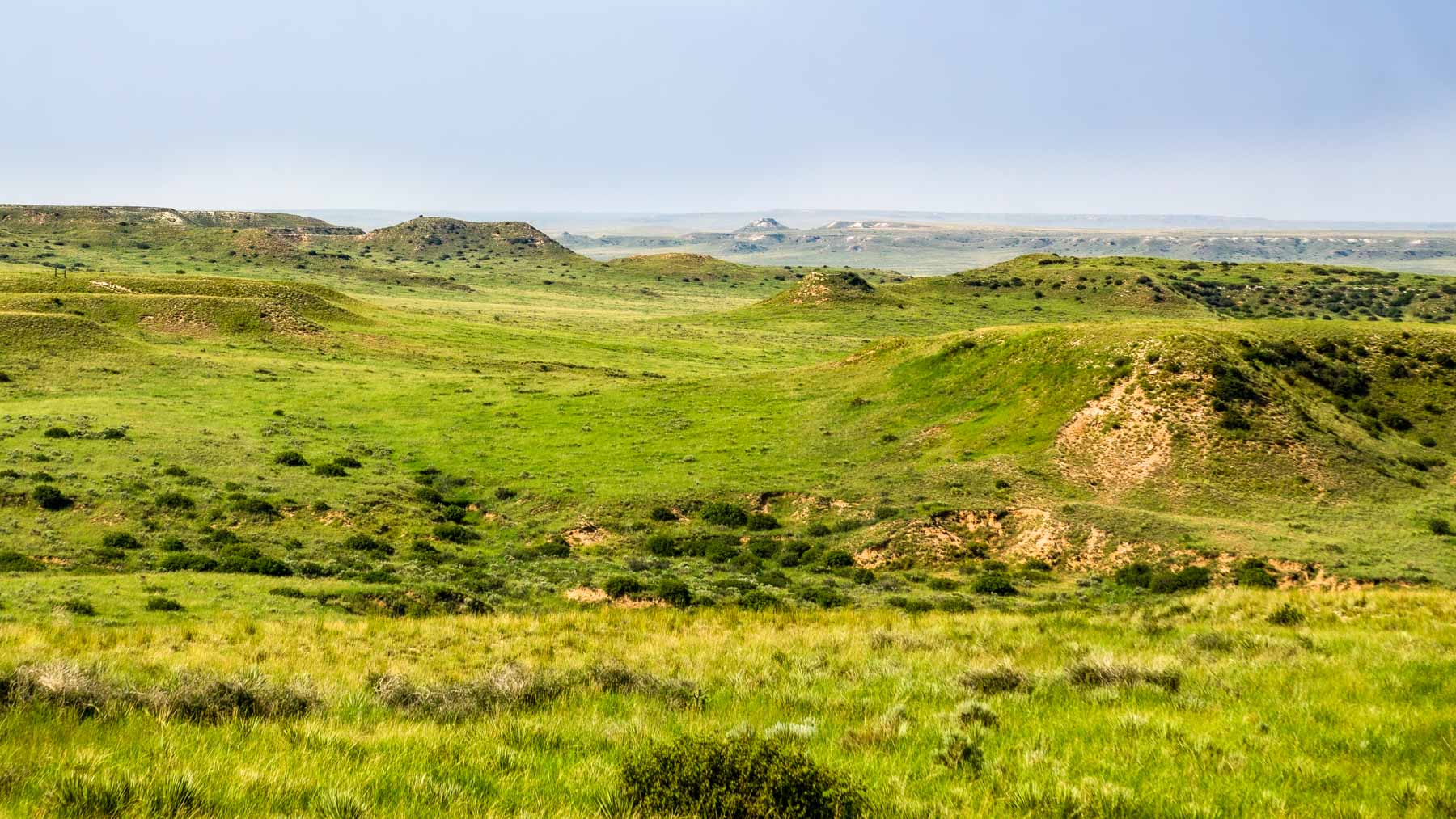 Burson Rita Blanca Creek Ranch property picture 2 of 49