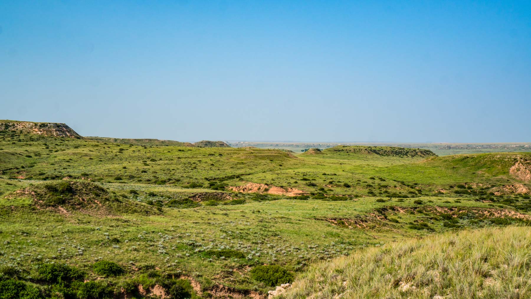 Burson Rita Blanca Creek Ranch property picture 47 of 49