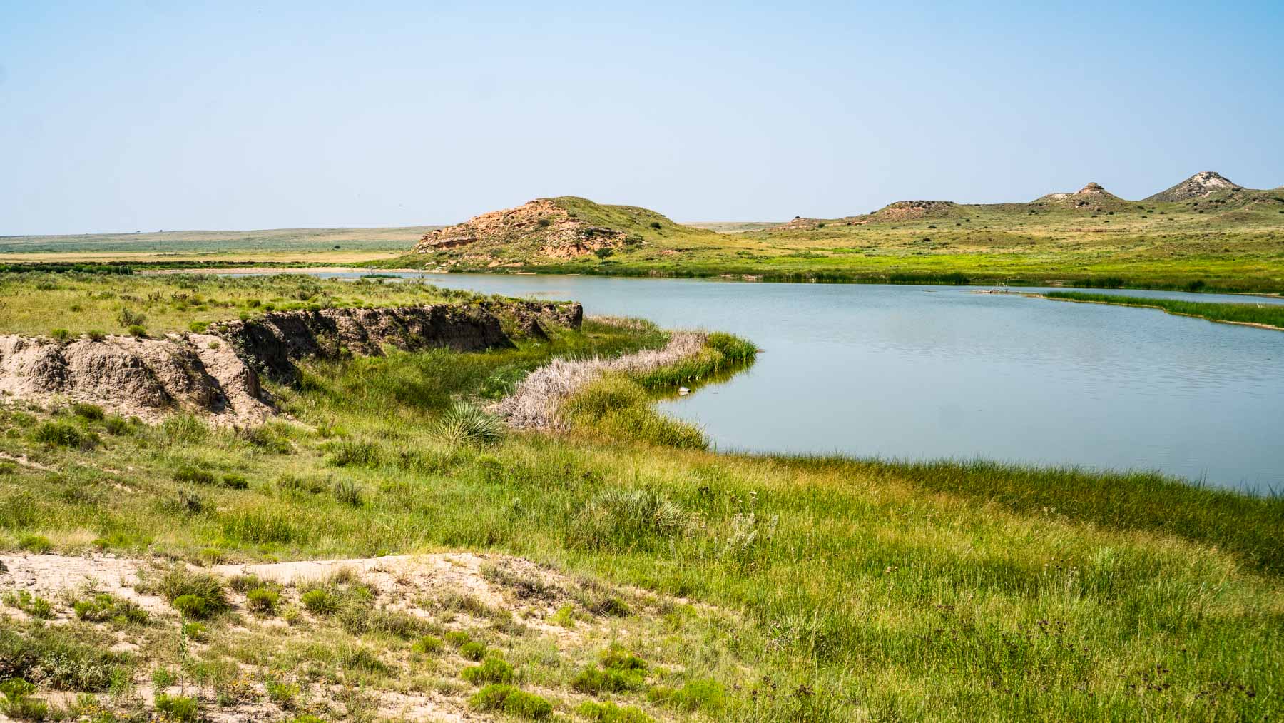 Burson Rita Blanca Creek Ranch property picture 15 of 49