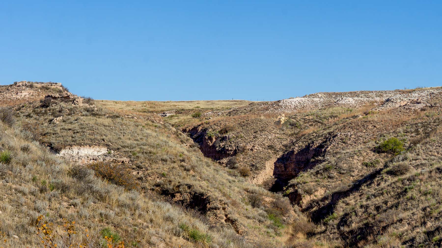 Burson Rita Blanca Creek Ranch property picture 23 of 49