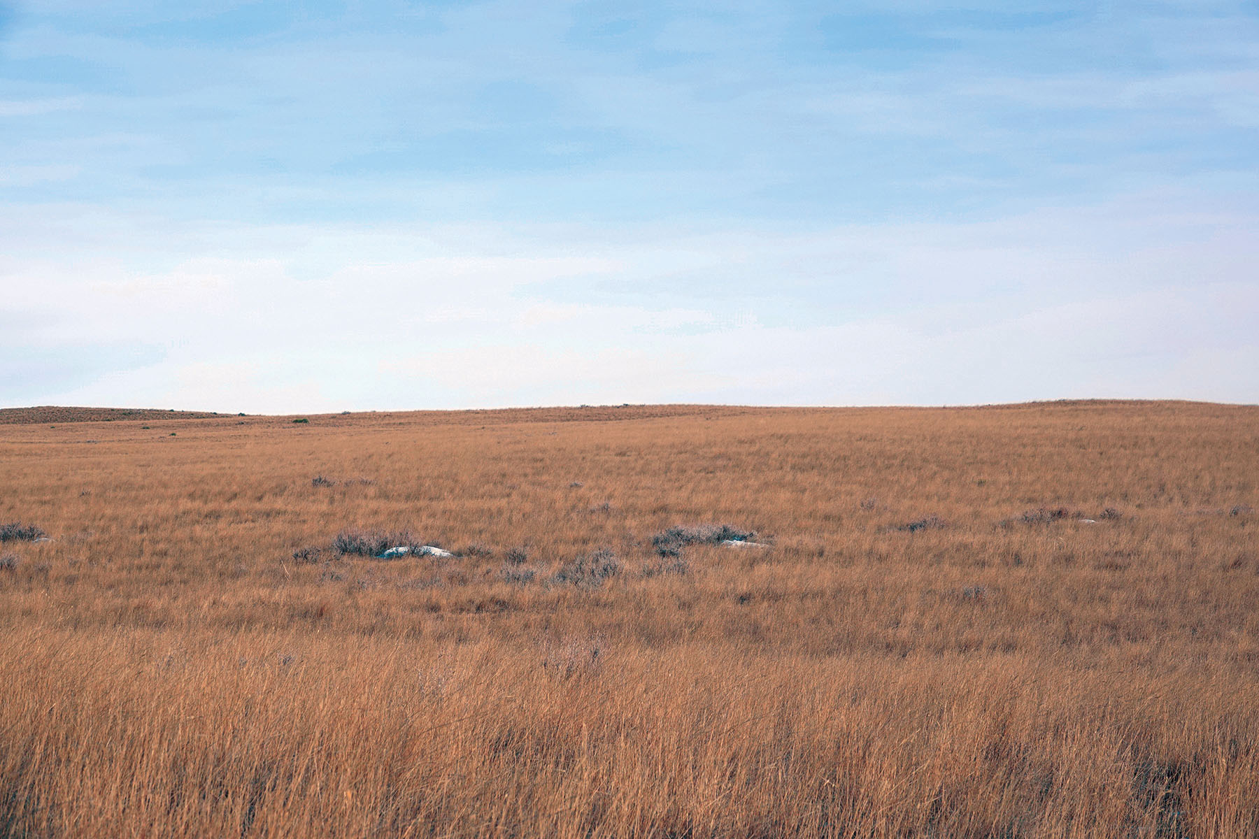 Salt Sage Coulee property picture 19 of 25