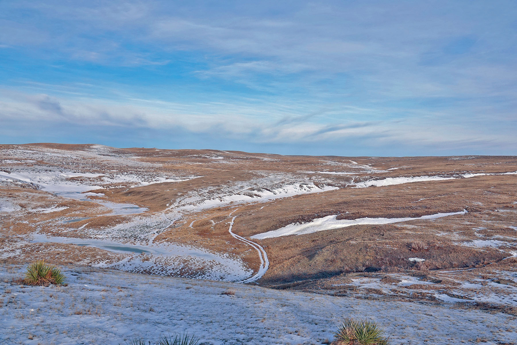 Salt Sage Coulee property picture 1 of 25