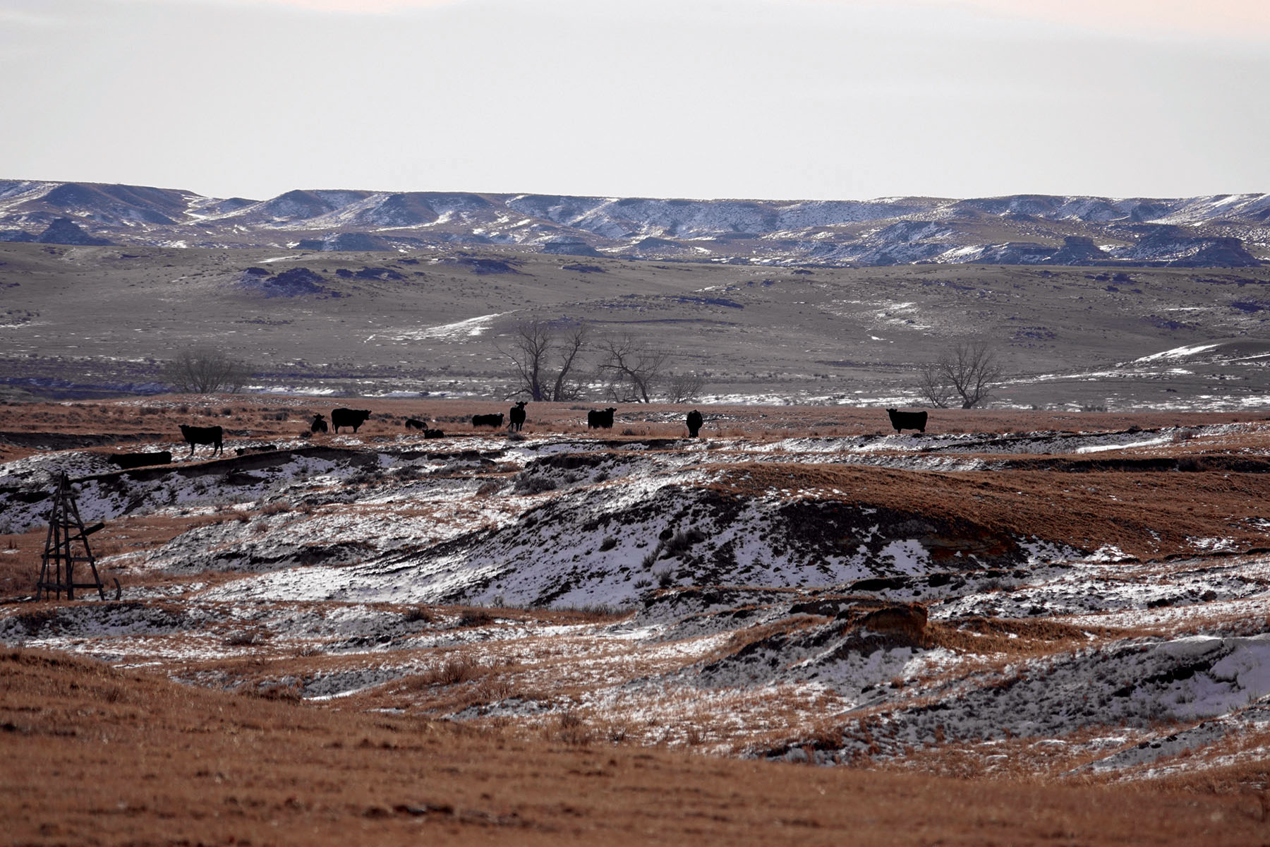 Salt Sage Coulee property picture 6 of 25