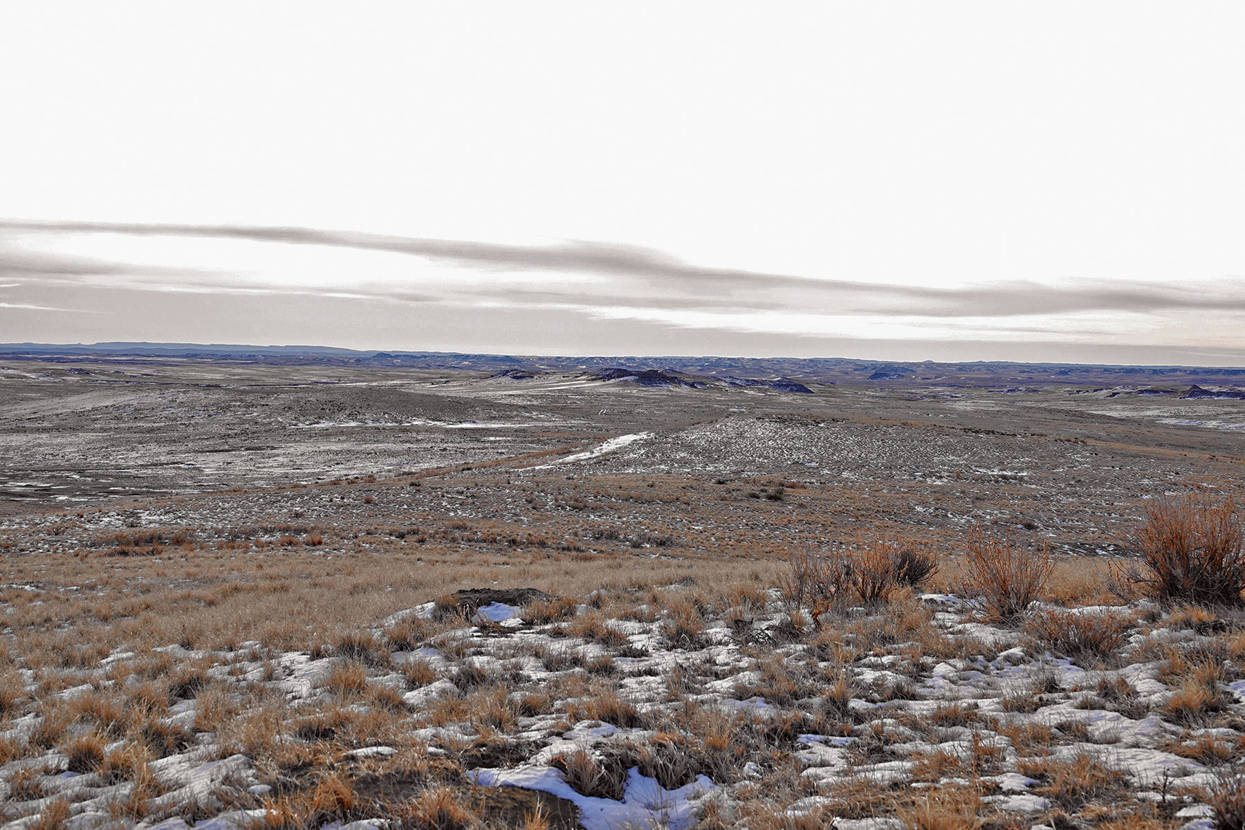 Salt Sage Coulee property picture 20 of 25