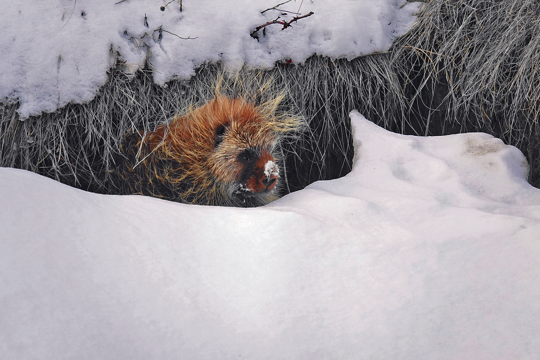 Salt Sage Coulee property picture 21 of 25