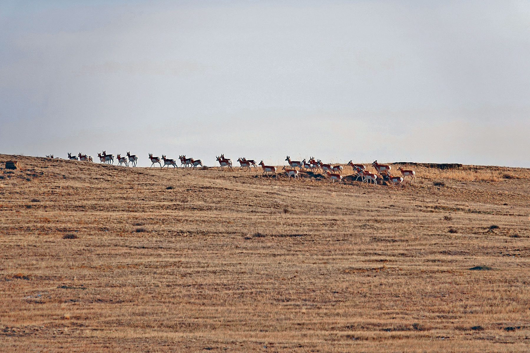 Salt Sage Coulee property picture 5 of 25