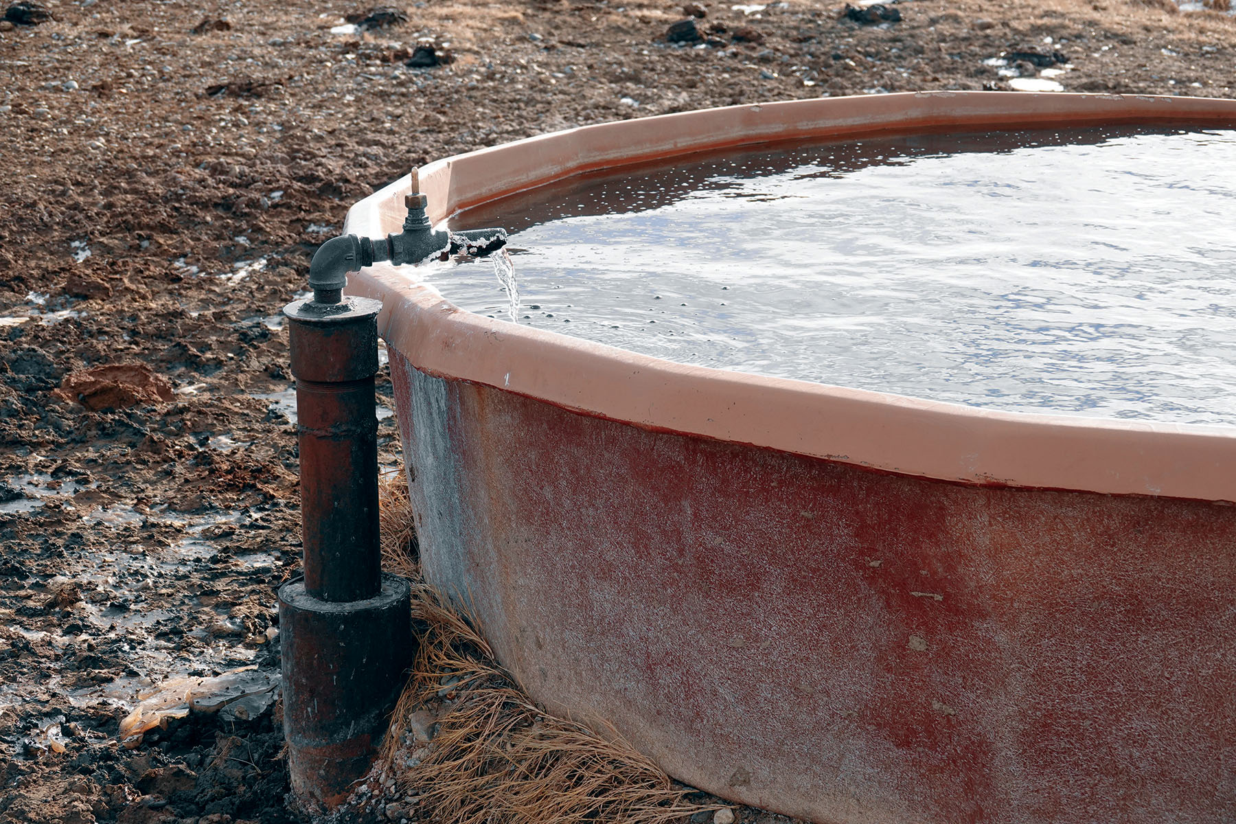 Salt Sage Coulee property picture 18 of 25