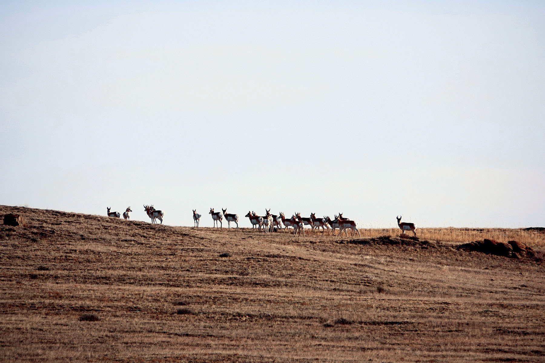 Salt Sage Coulee property picture 10 of 25
