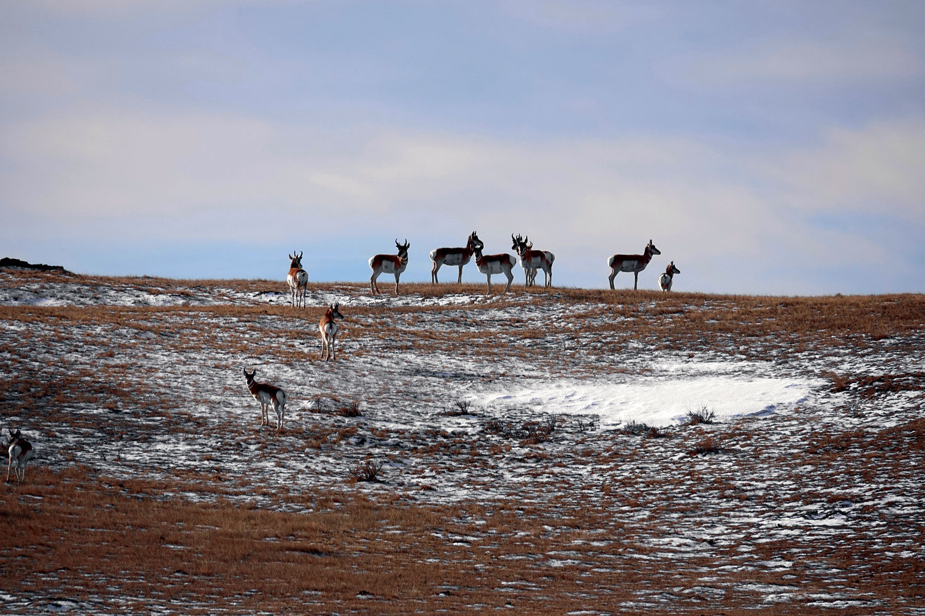 Salt Sage Coulee property picture 17 of 25