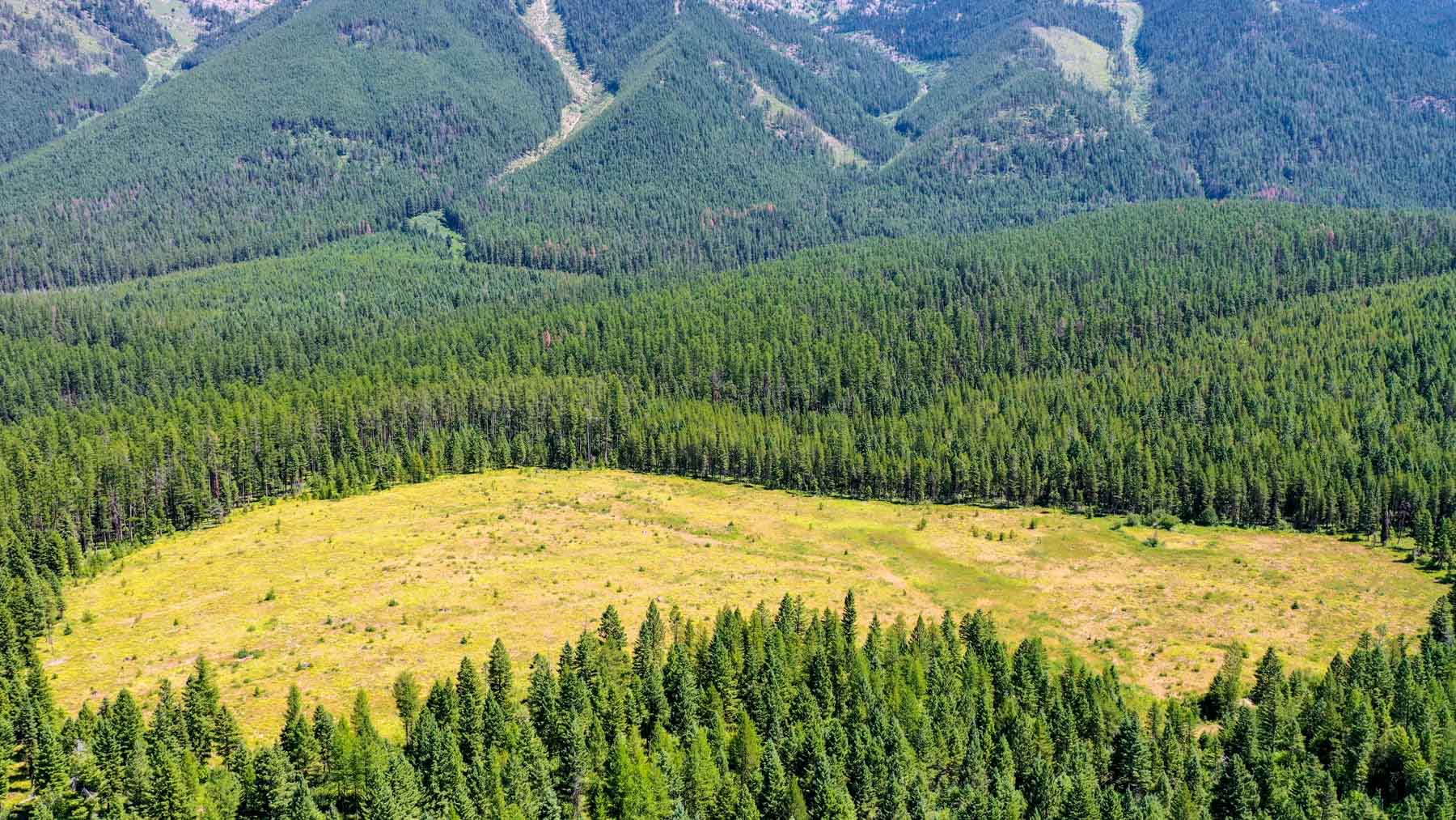 Holland Lake Overlook property picture 16 of 28