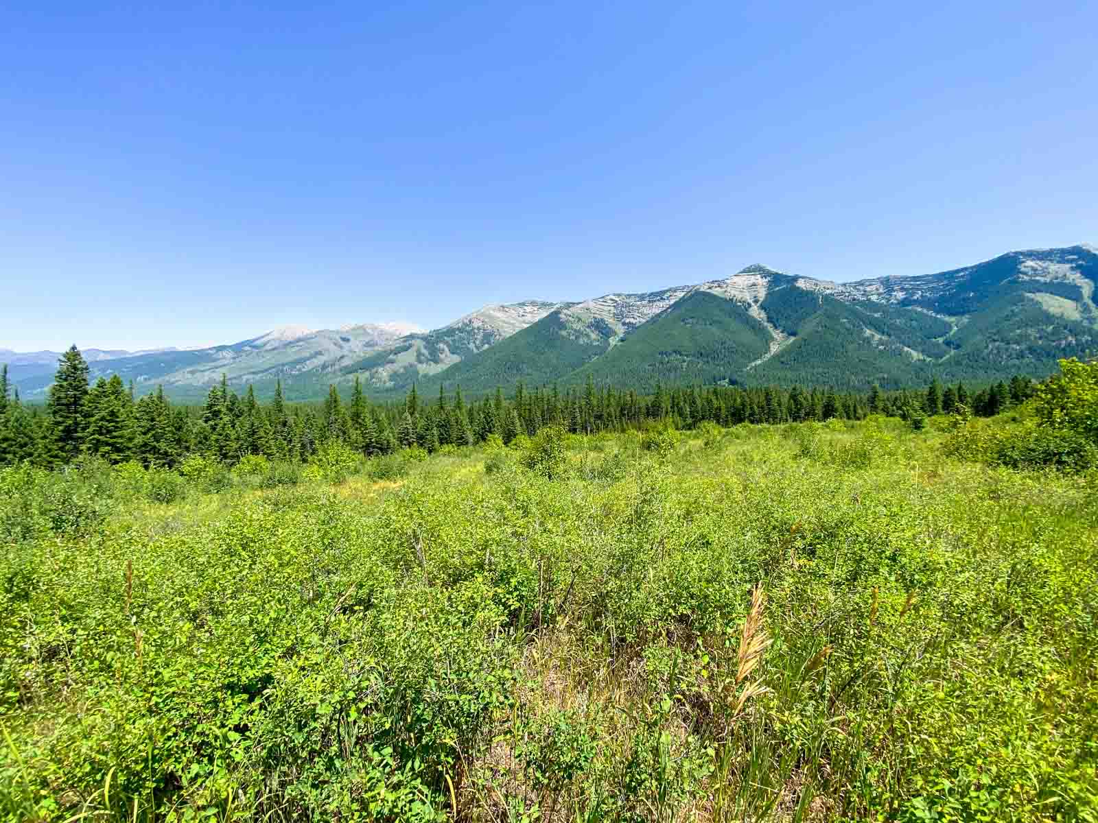 Holland Lake Overlook property picture 12 of 28